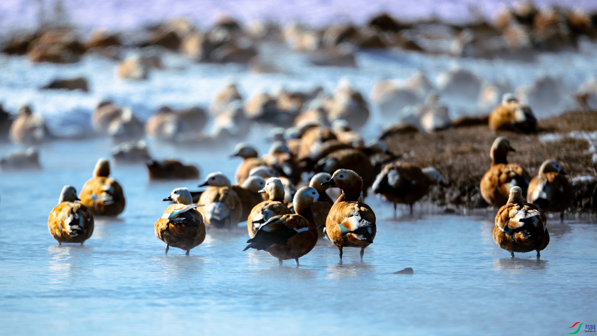 ��Ȼ����