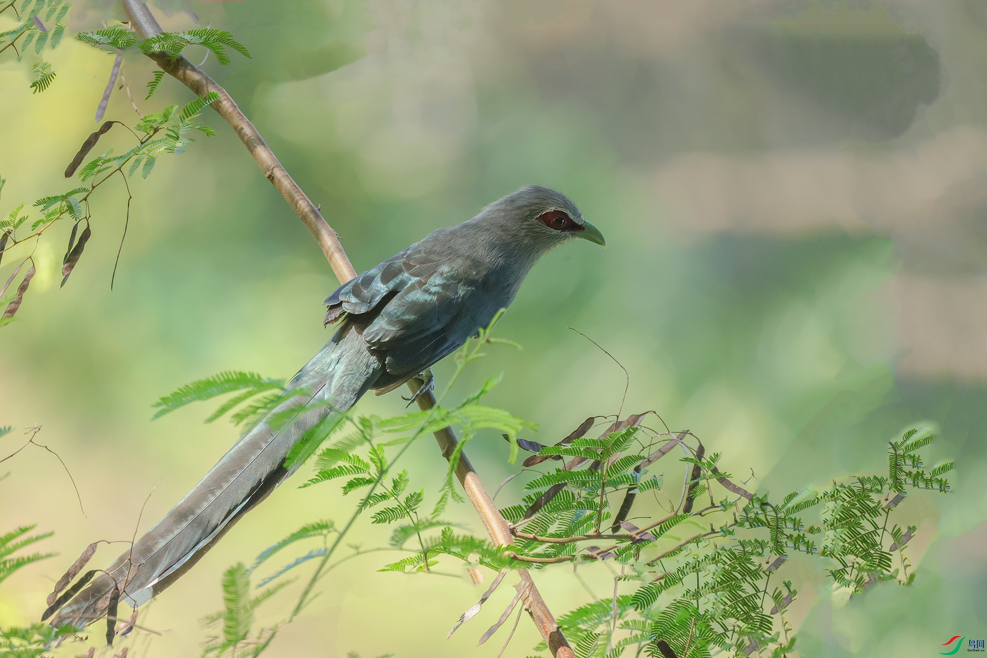 7D9A4073 ����.jpg