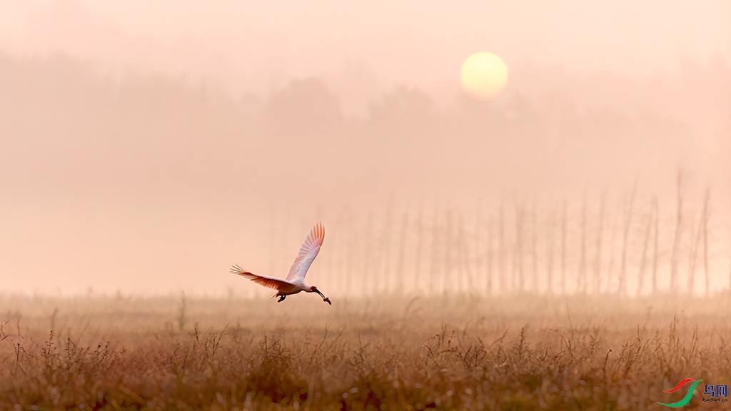 hnxyR221108 (3618).jpg