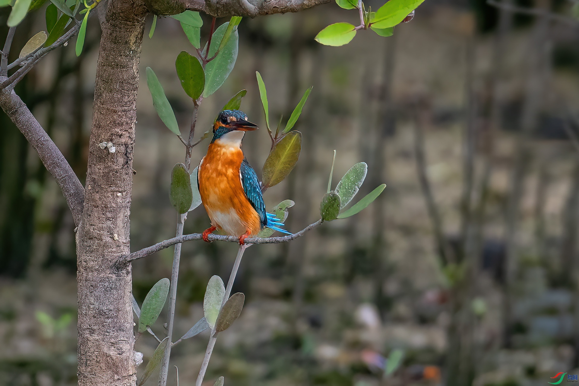 DSC_1331.jpg