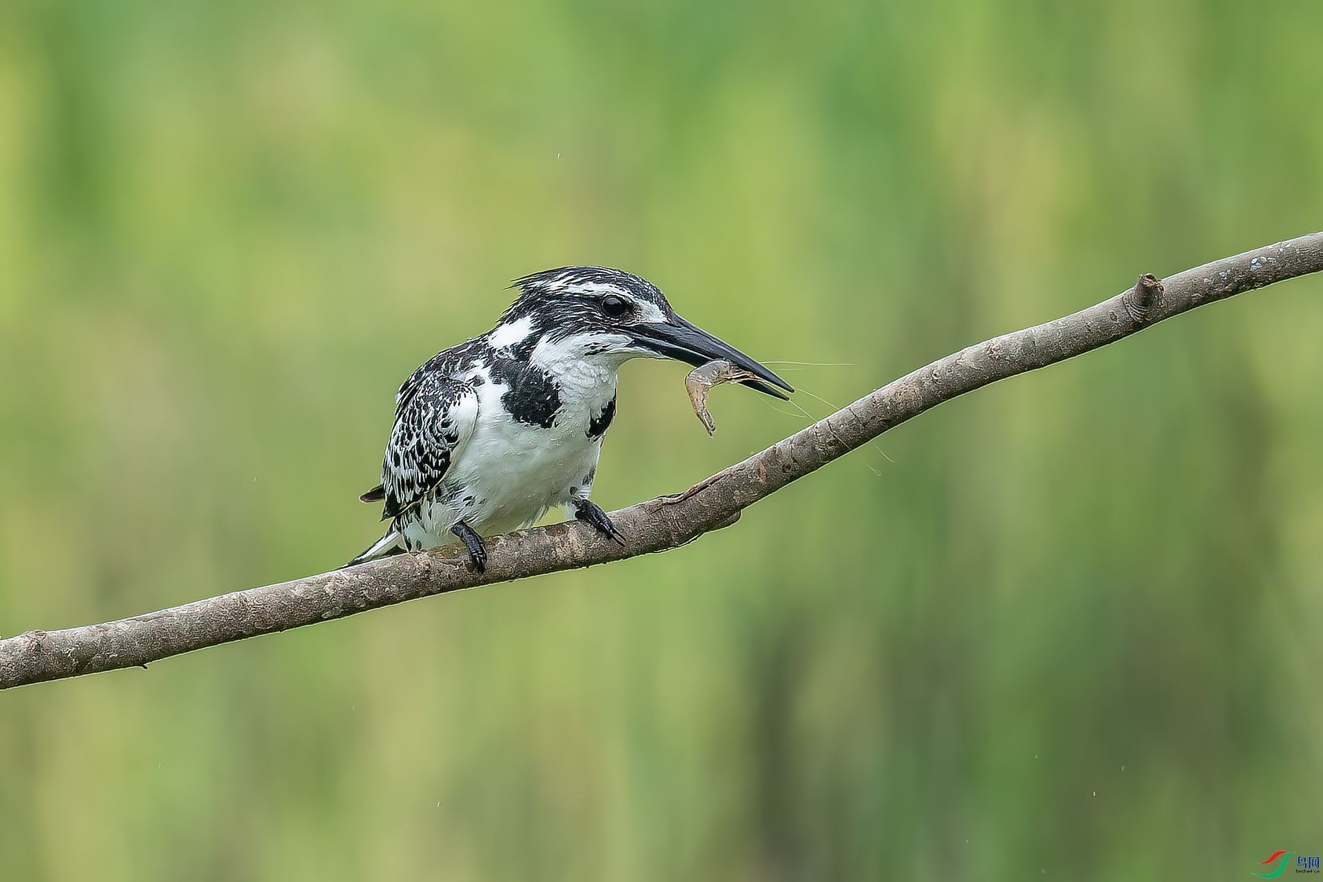 DSC_3988.jpg