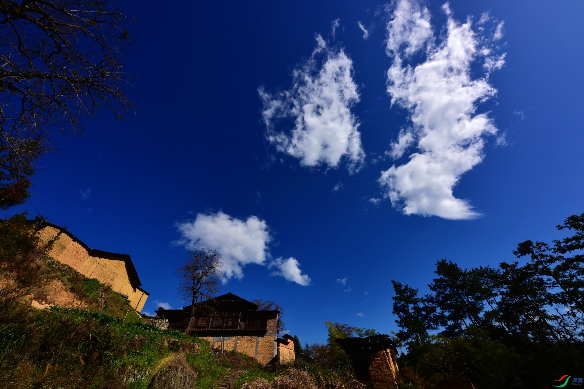 D8I_8444.jpg