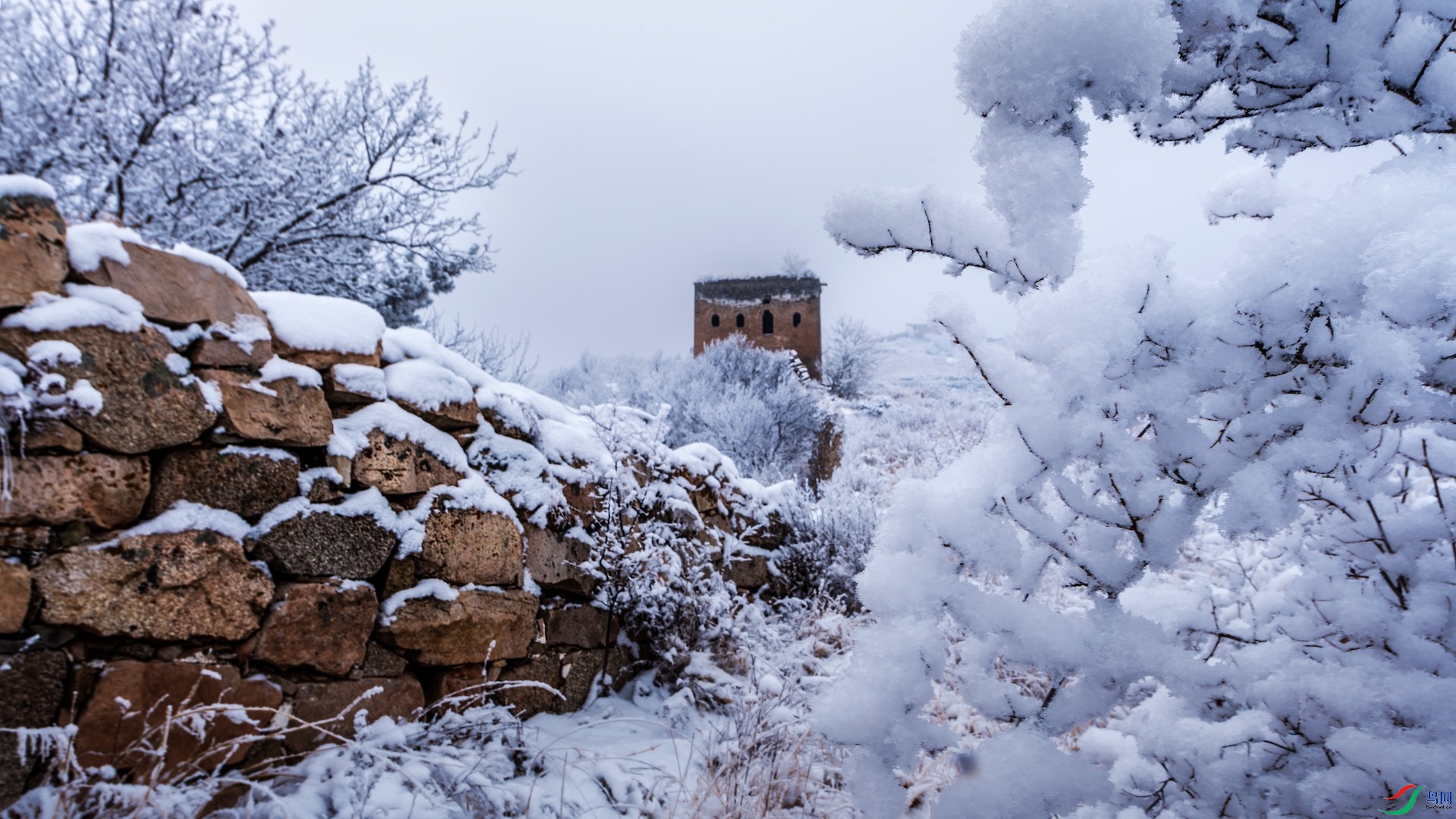 XXI_1548 2-����ǿ-NR ����.jpeg