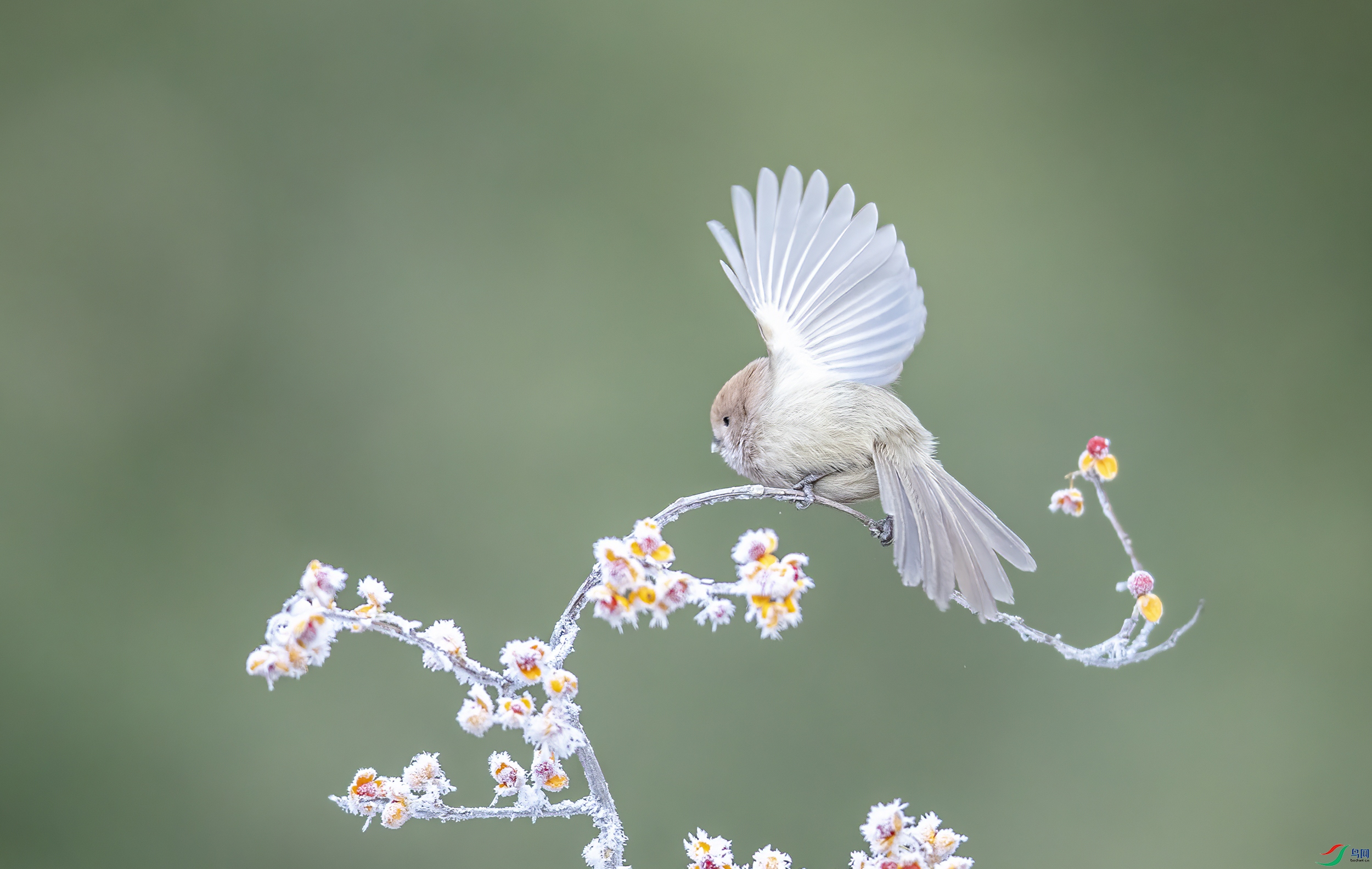 AC3I0200 ����.jpg