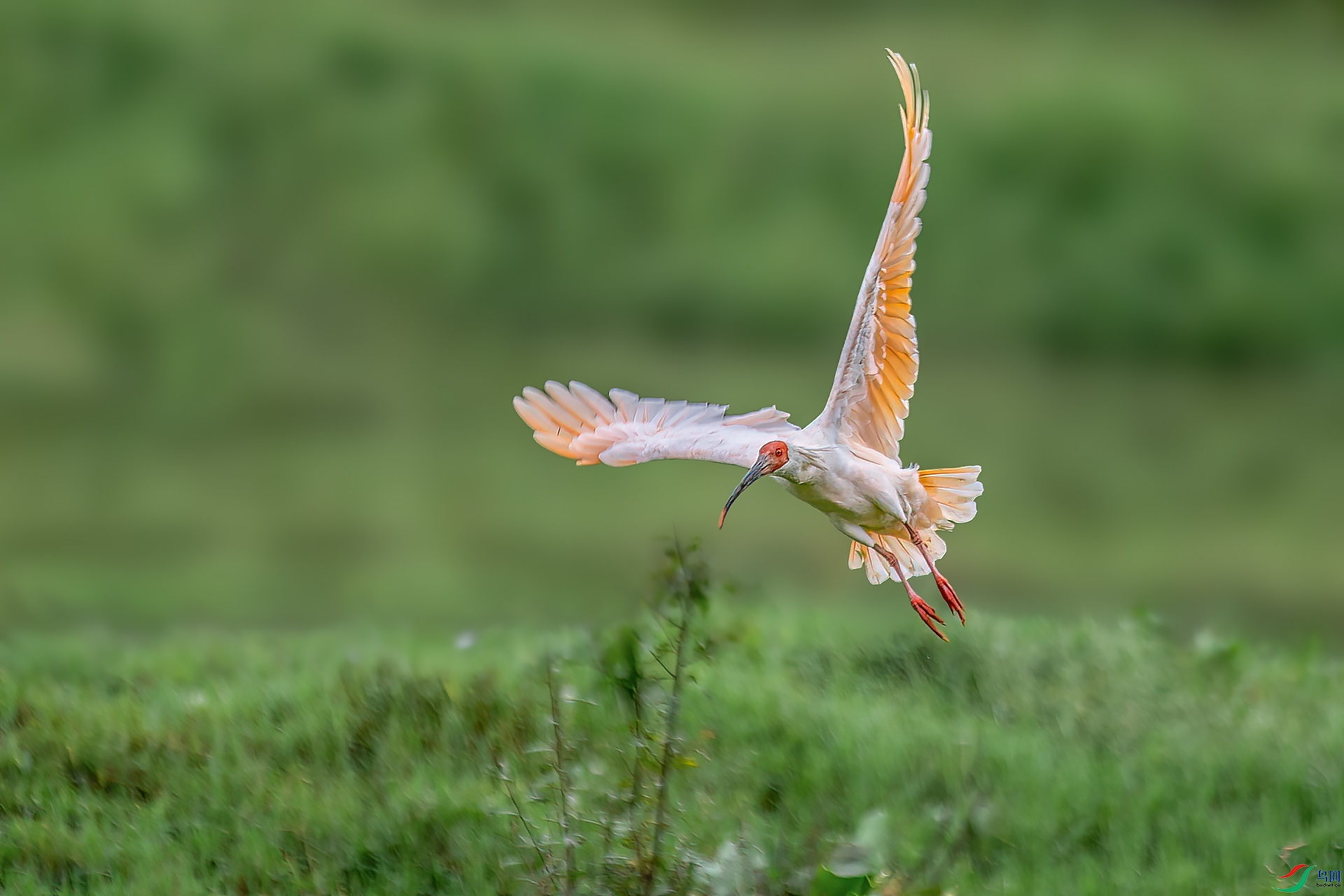 DSC_4609.jpg