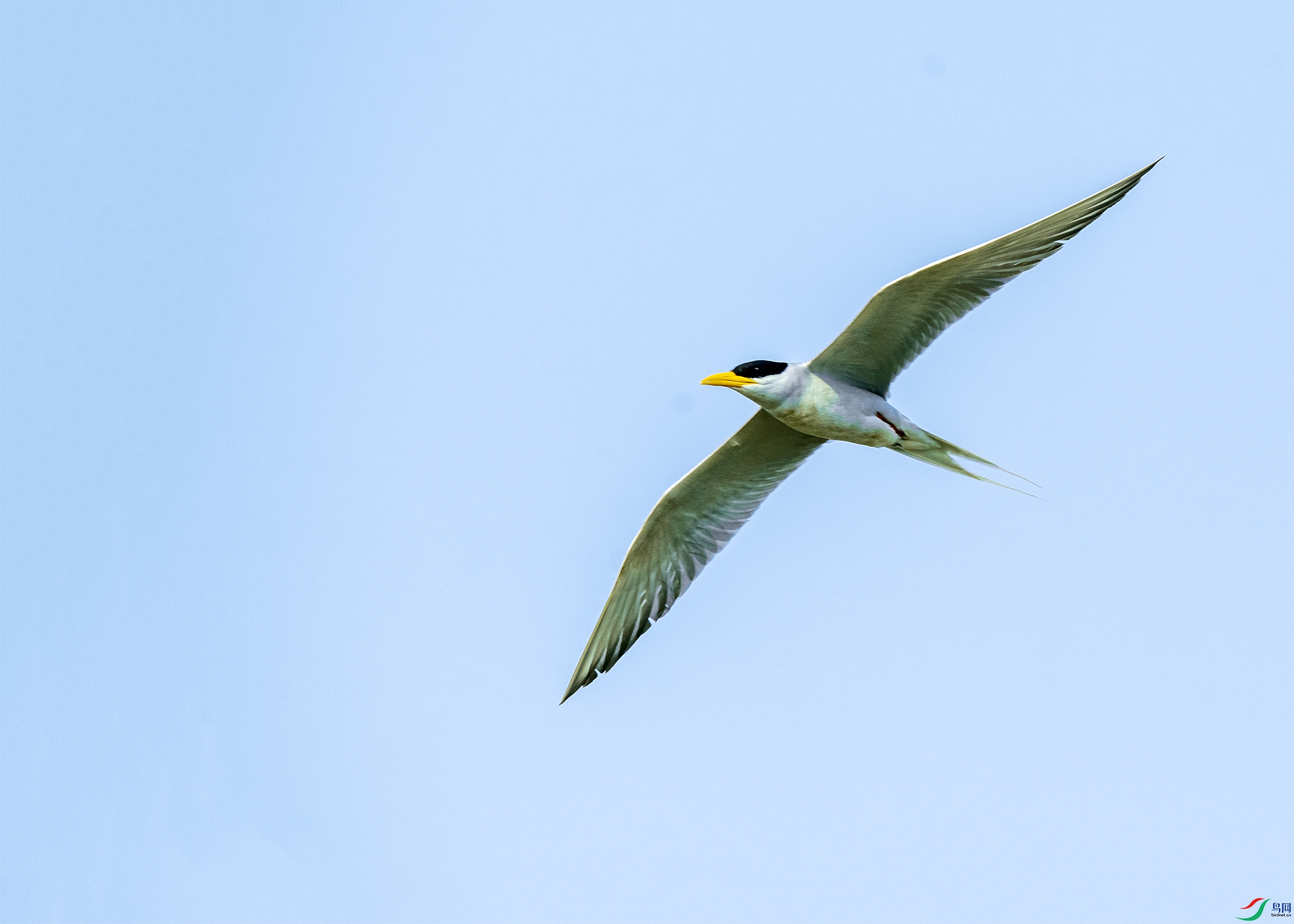 0699 ����.jpg