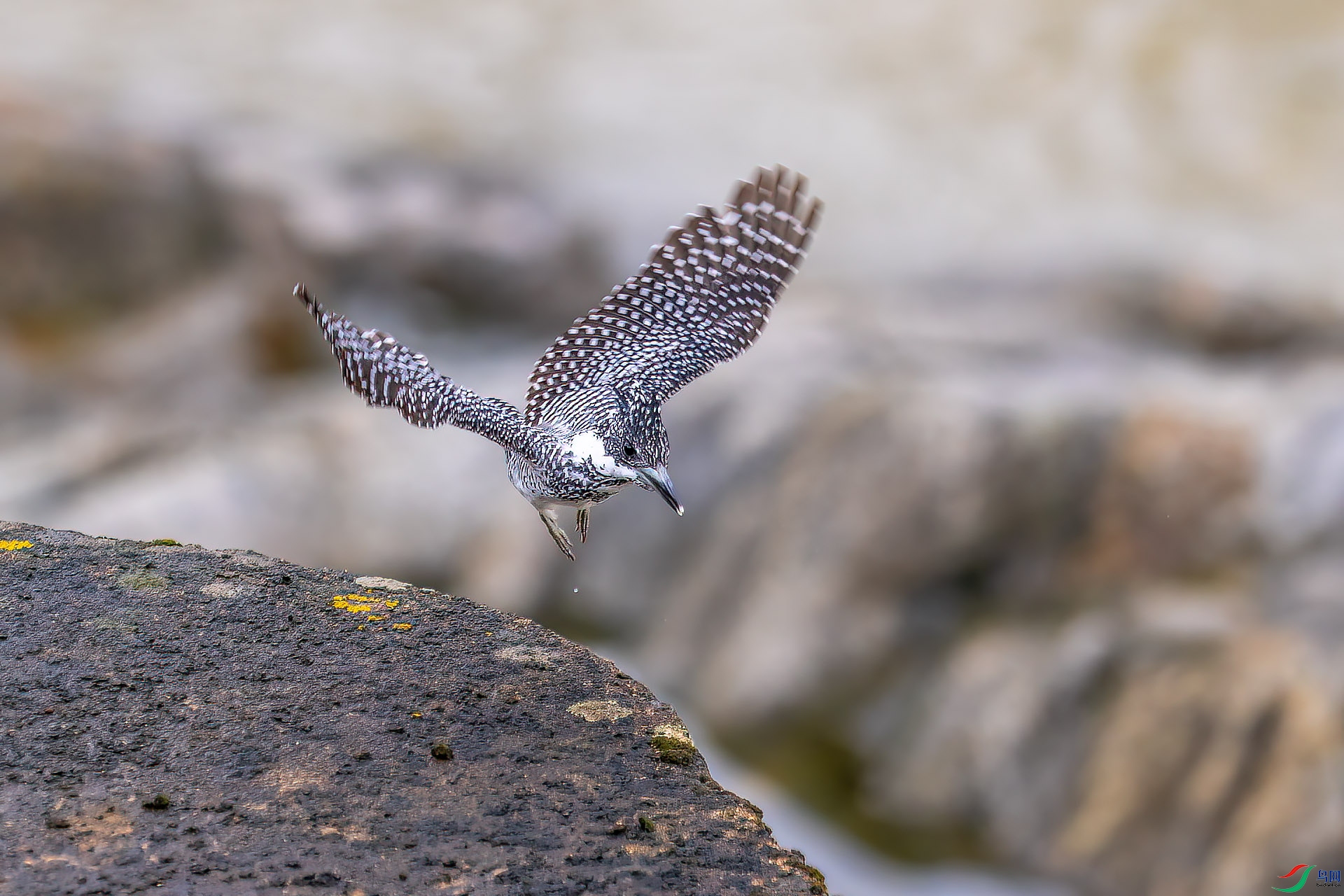 DSC_3697.jpg