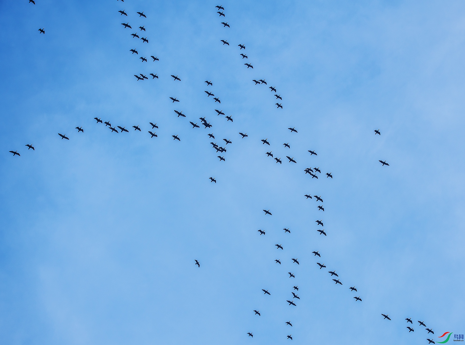 DSC_0759.jpg