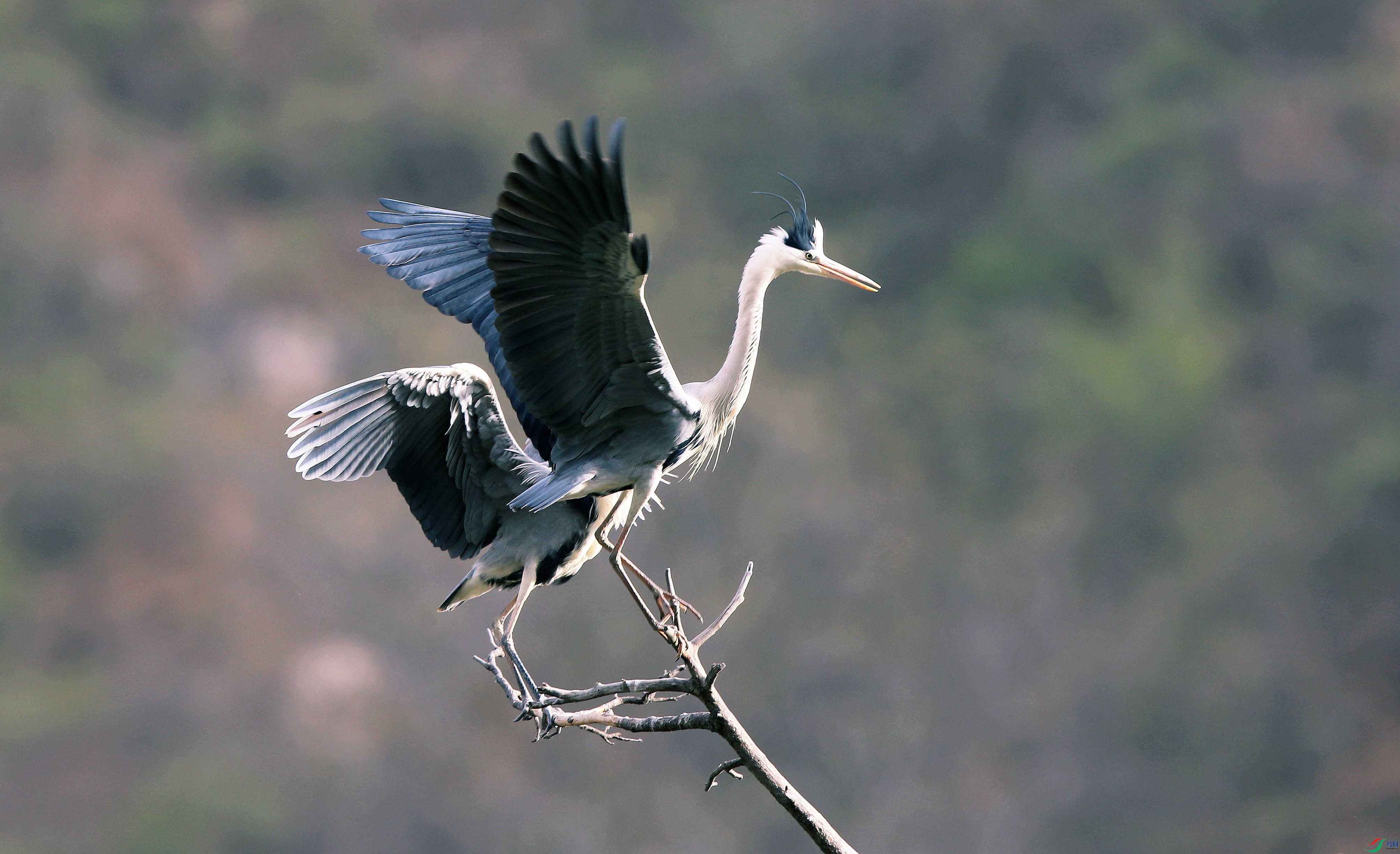 H46R7958_����.jpg