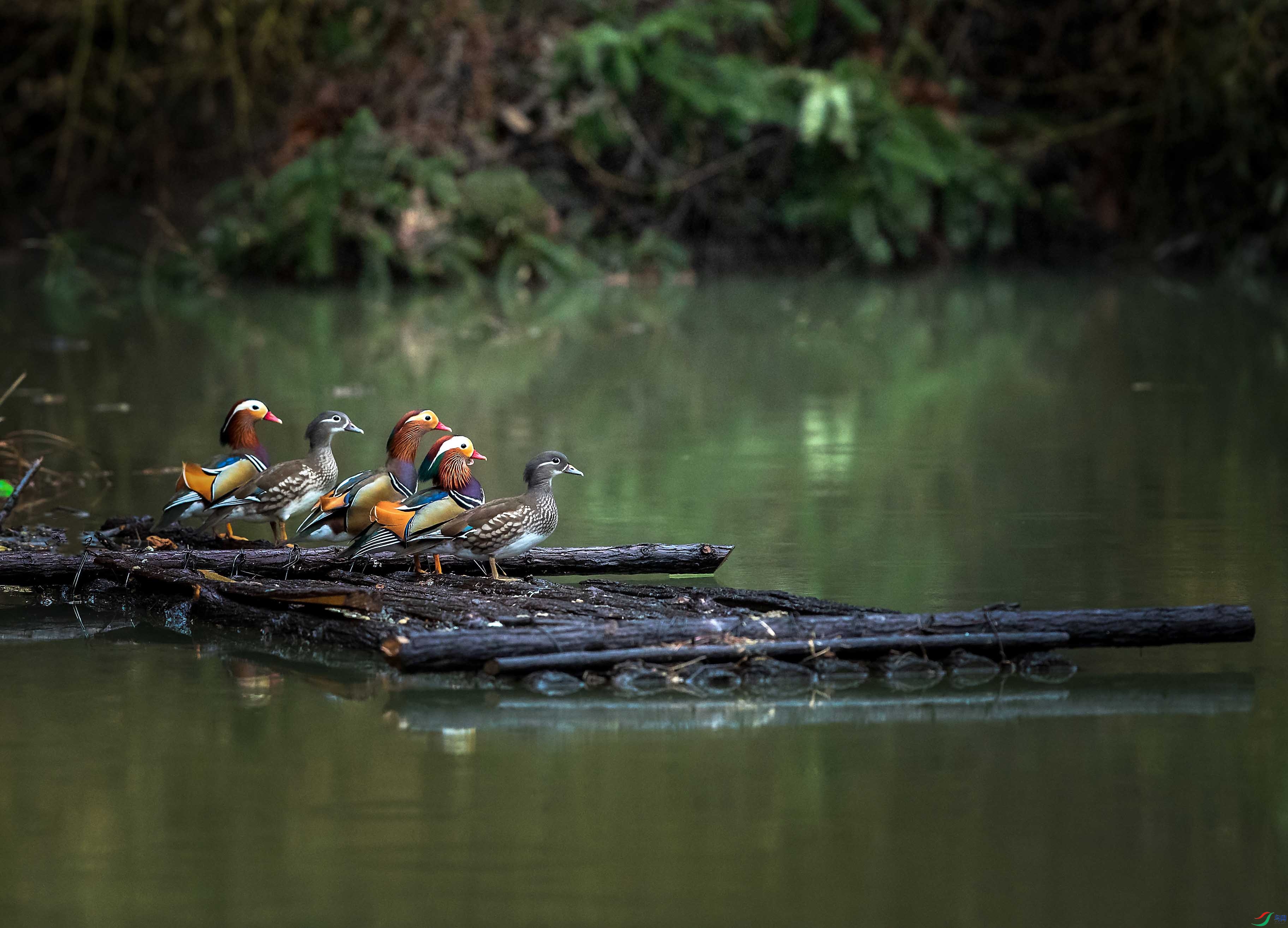 ΢��ͼƬ_20230510110429 ����.jpg