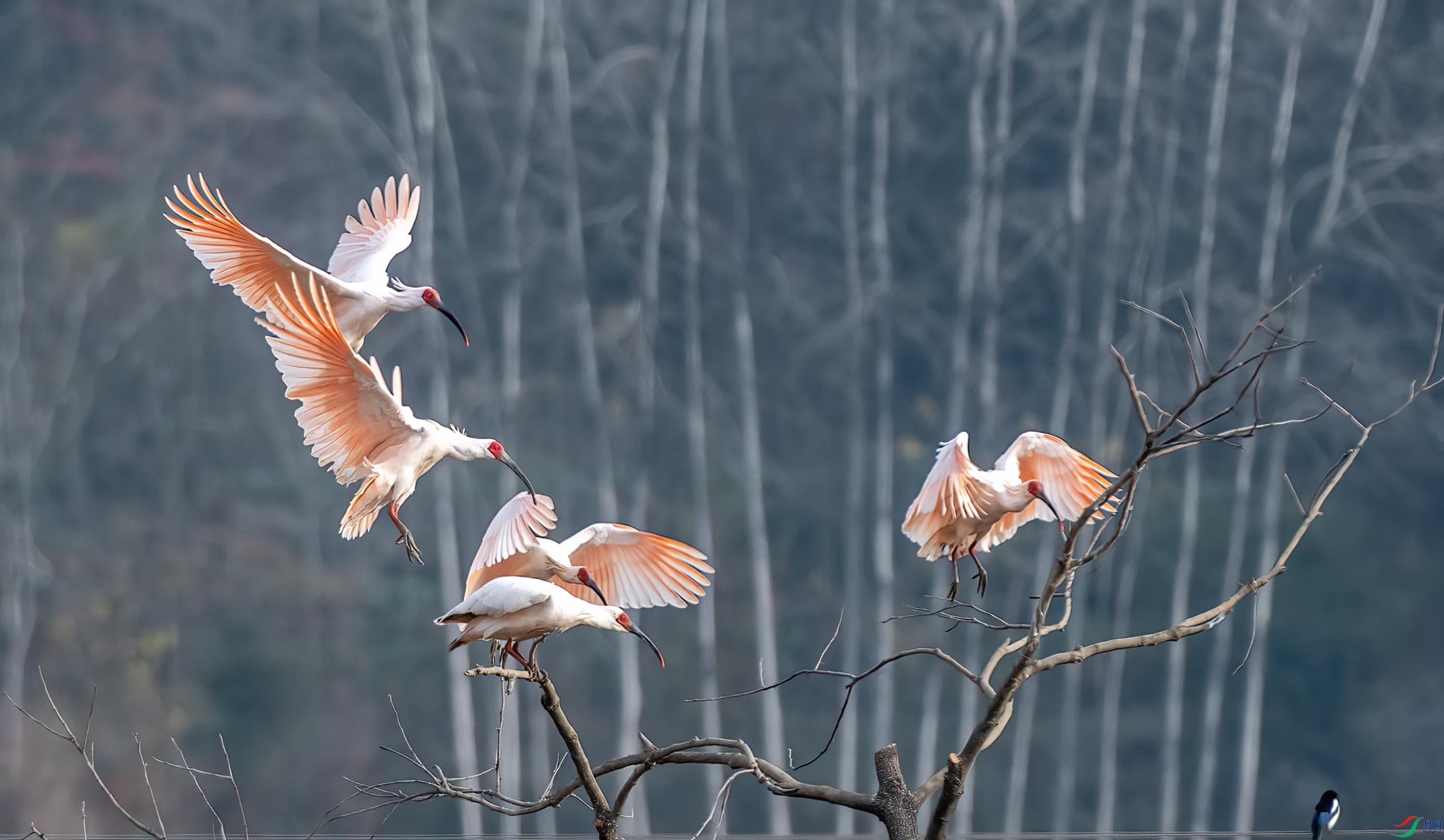 DSC_0406 ����.jpg