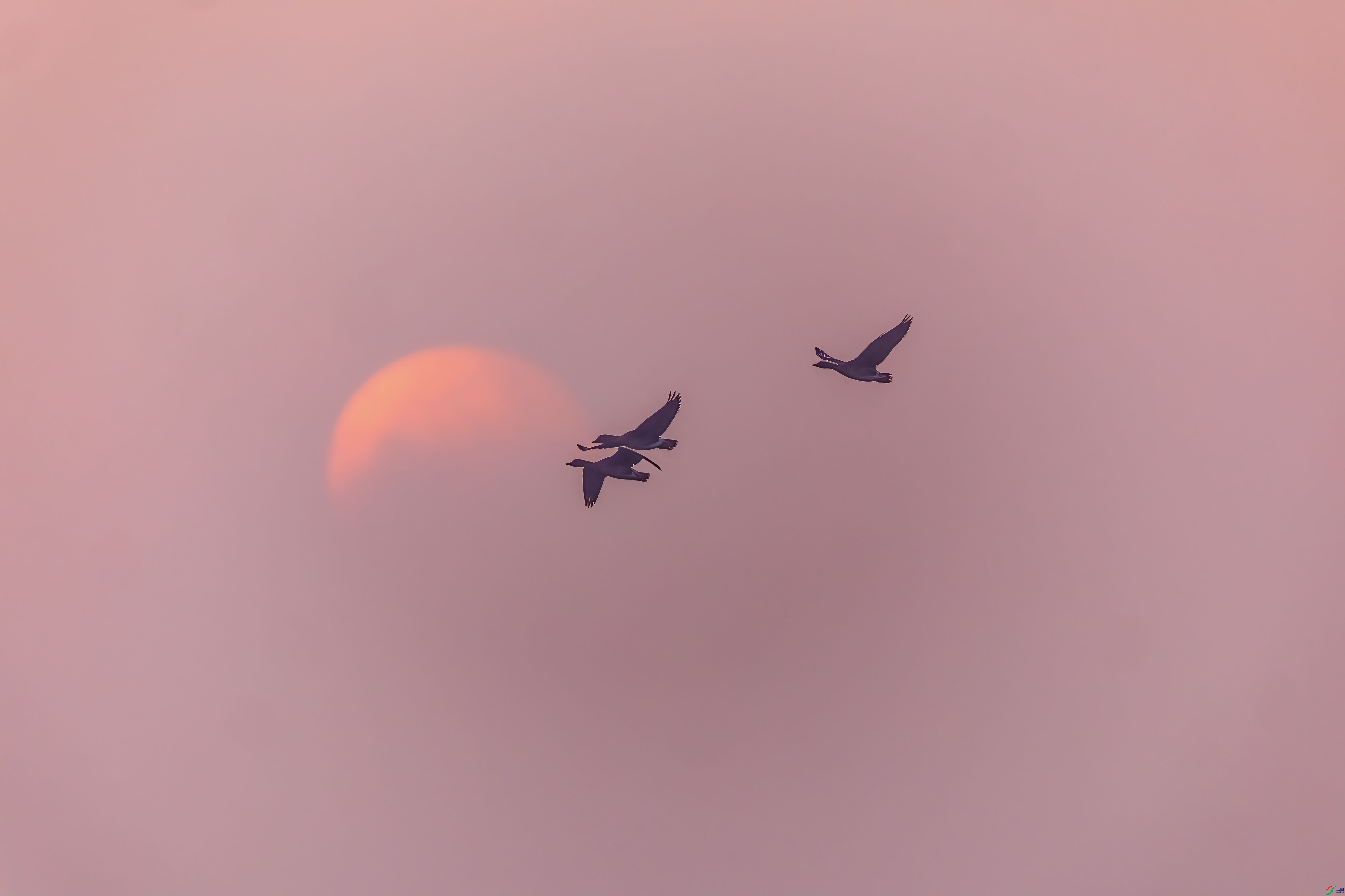 0M3A9255 ����.jpg