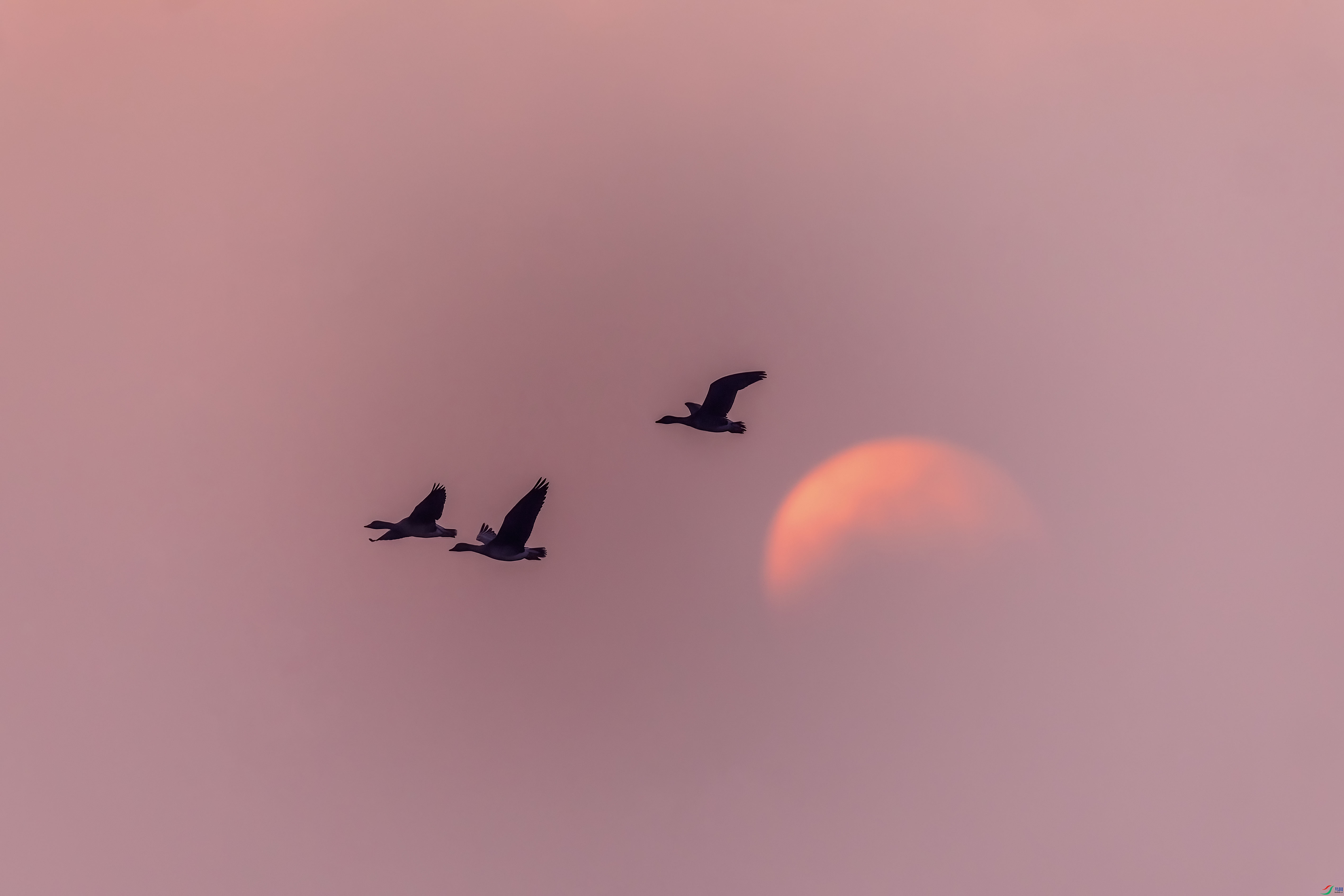 0M3A9258 ����.jpg