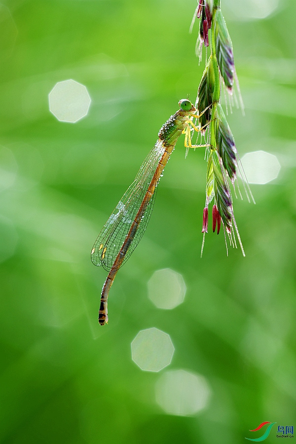 DSC_0299_CTMY.jpg