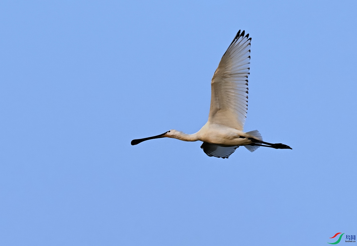 DSC_5750.jpg