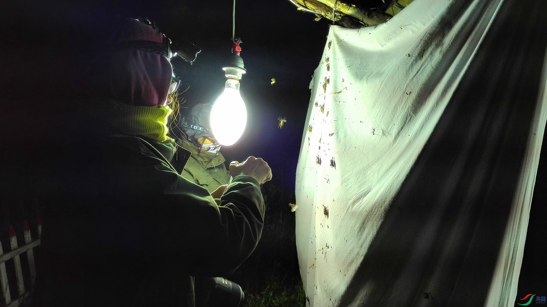 �ɼ�ˮ������걾