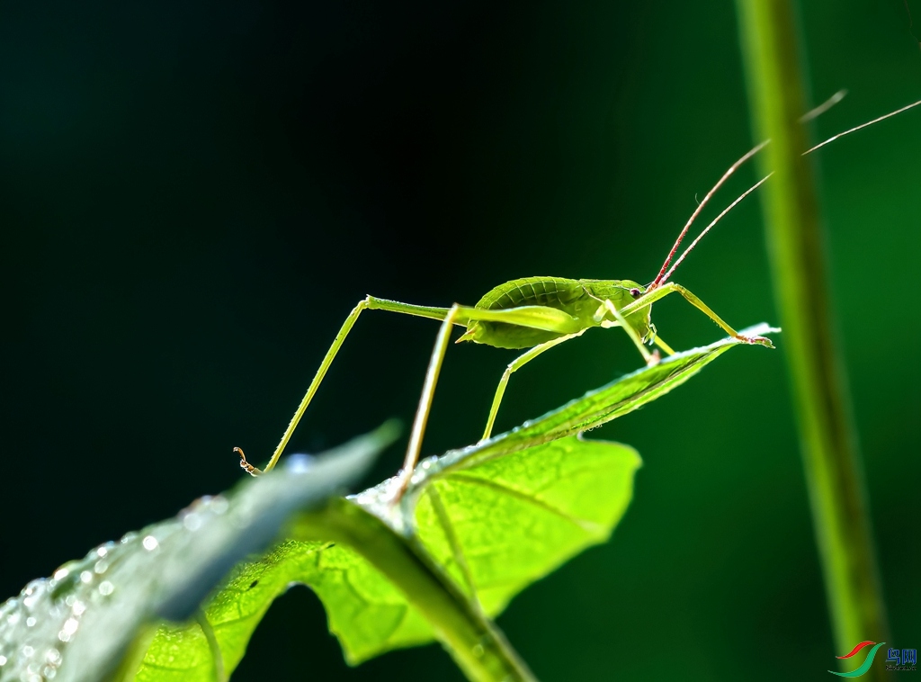 DSC02353-ARW_DxO_DeepPRIME ���� 2.jpg