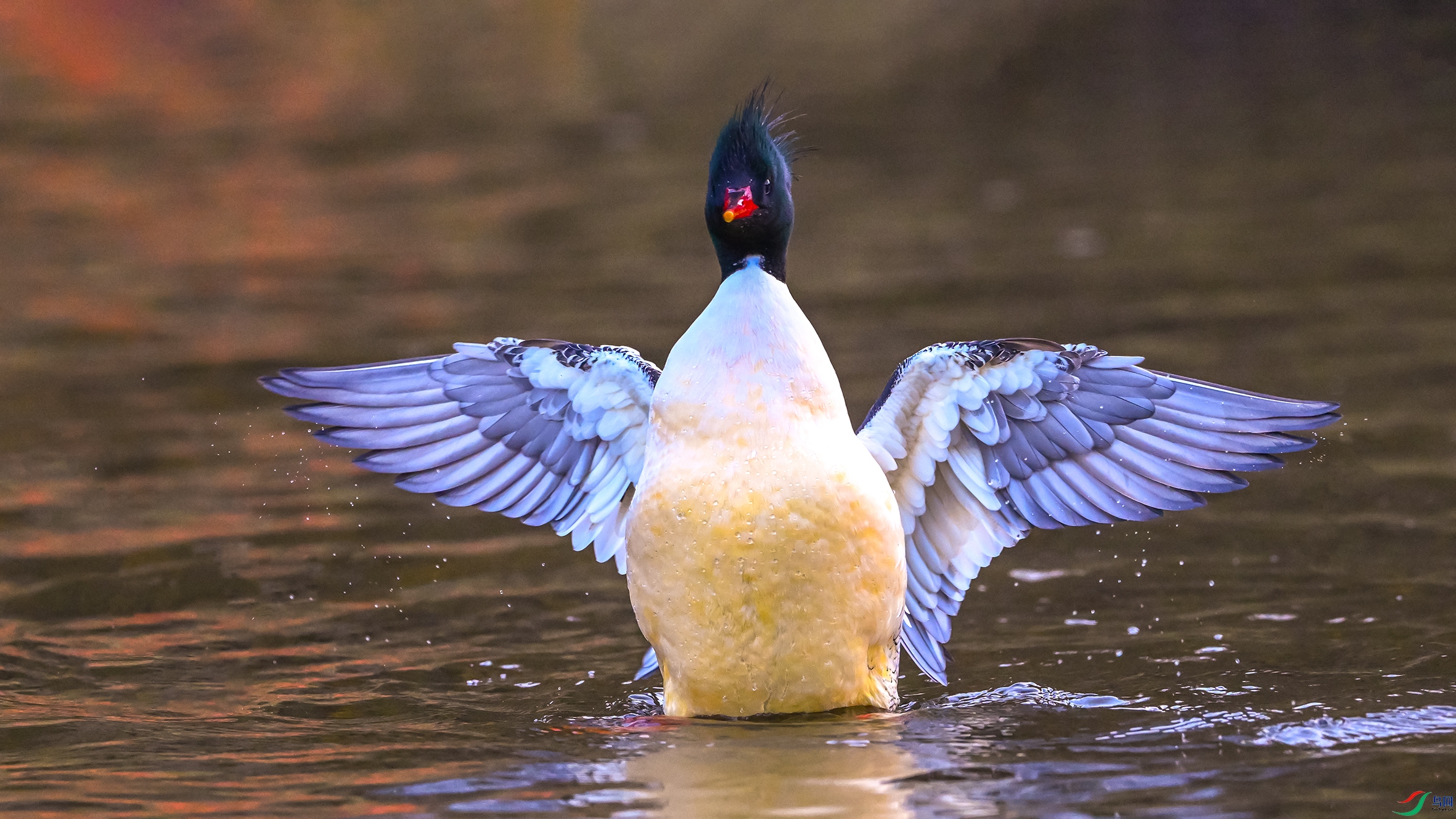 0666 ����.jpg