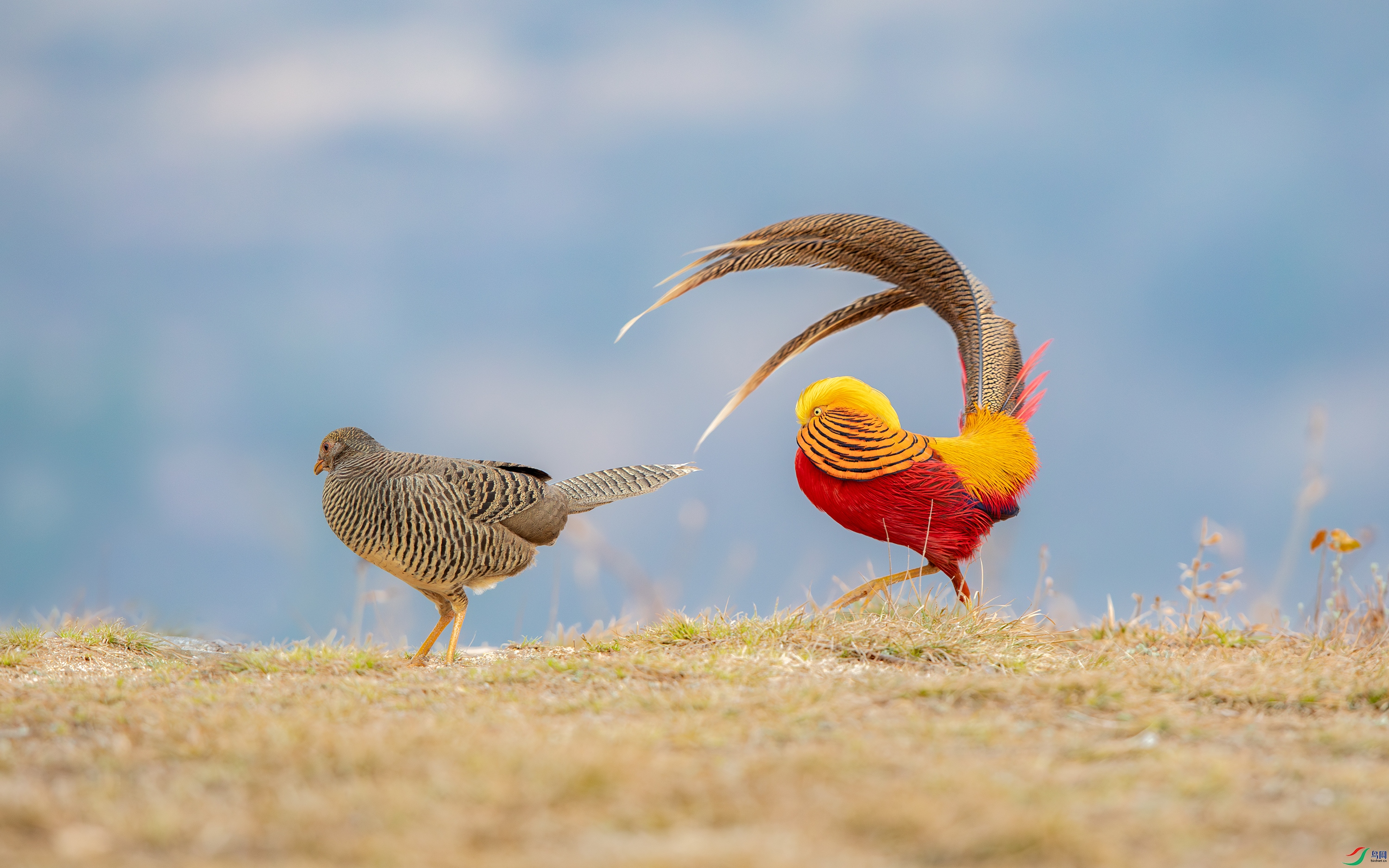 3S5A0863- ����.jpg