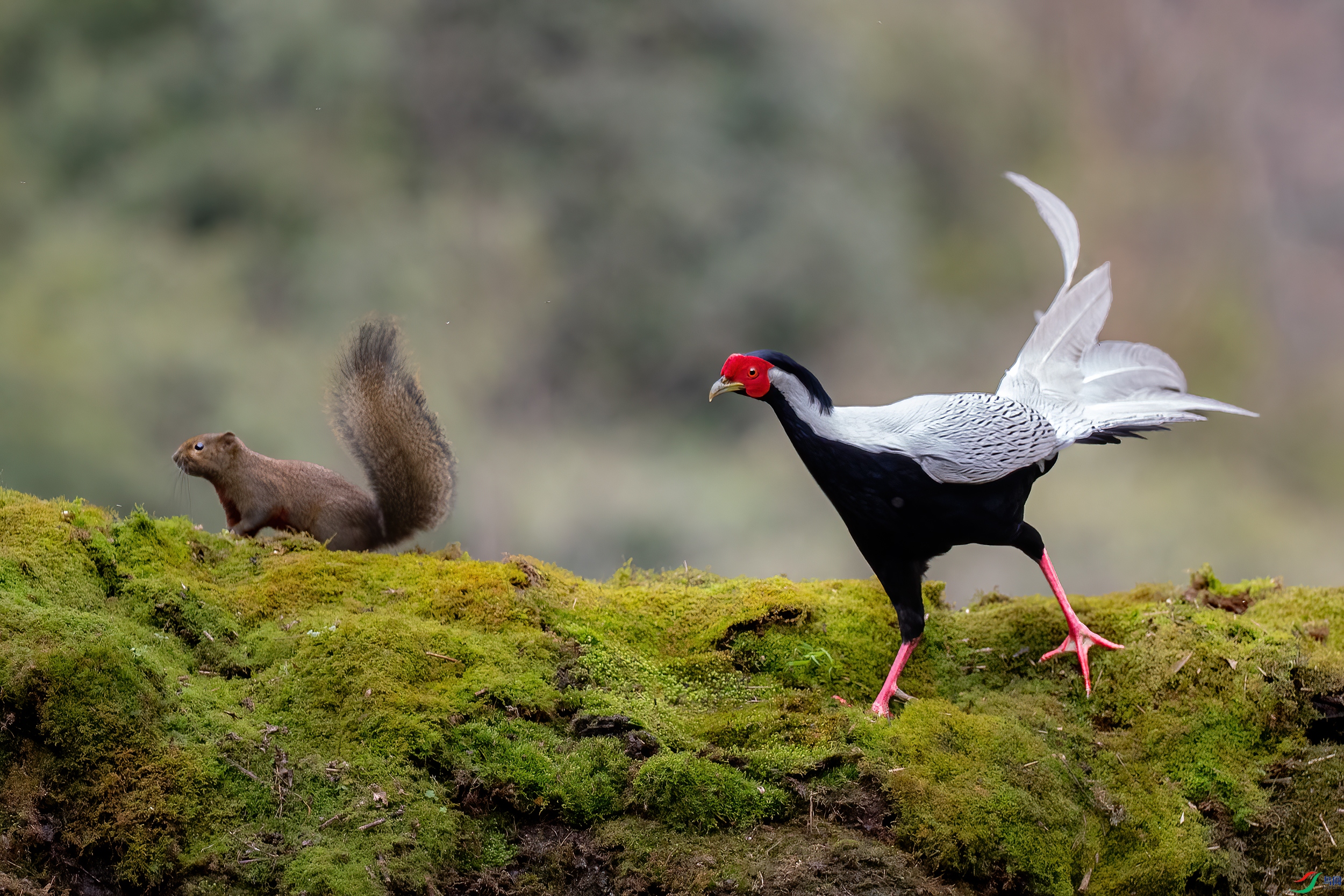 AY8I7456 ����.jpg