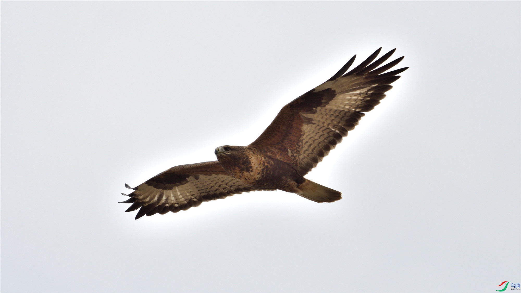 SZD_8544_����.jpg