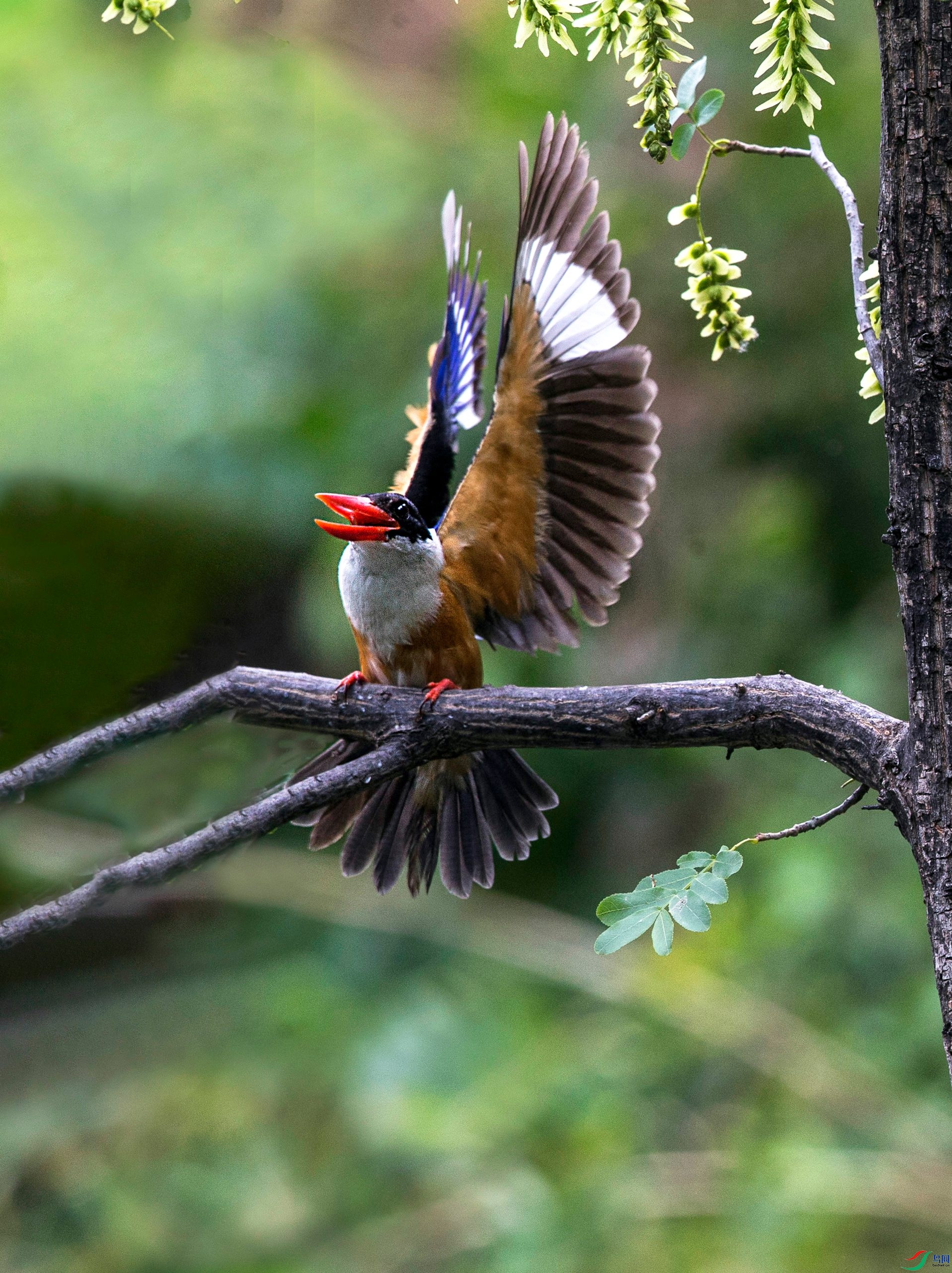 BW4Q5684 - ���� - ���� (2).jpg