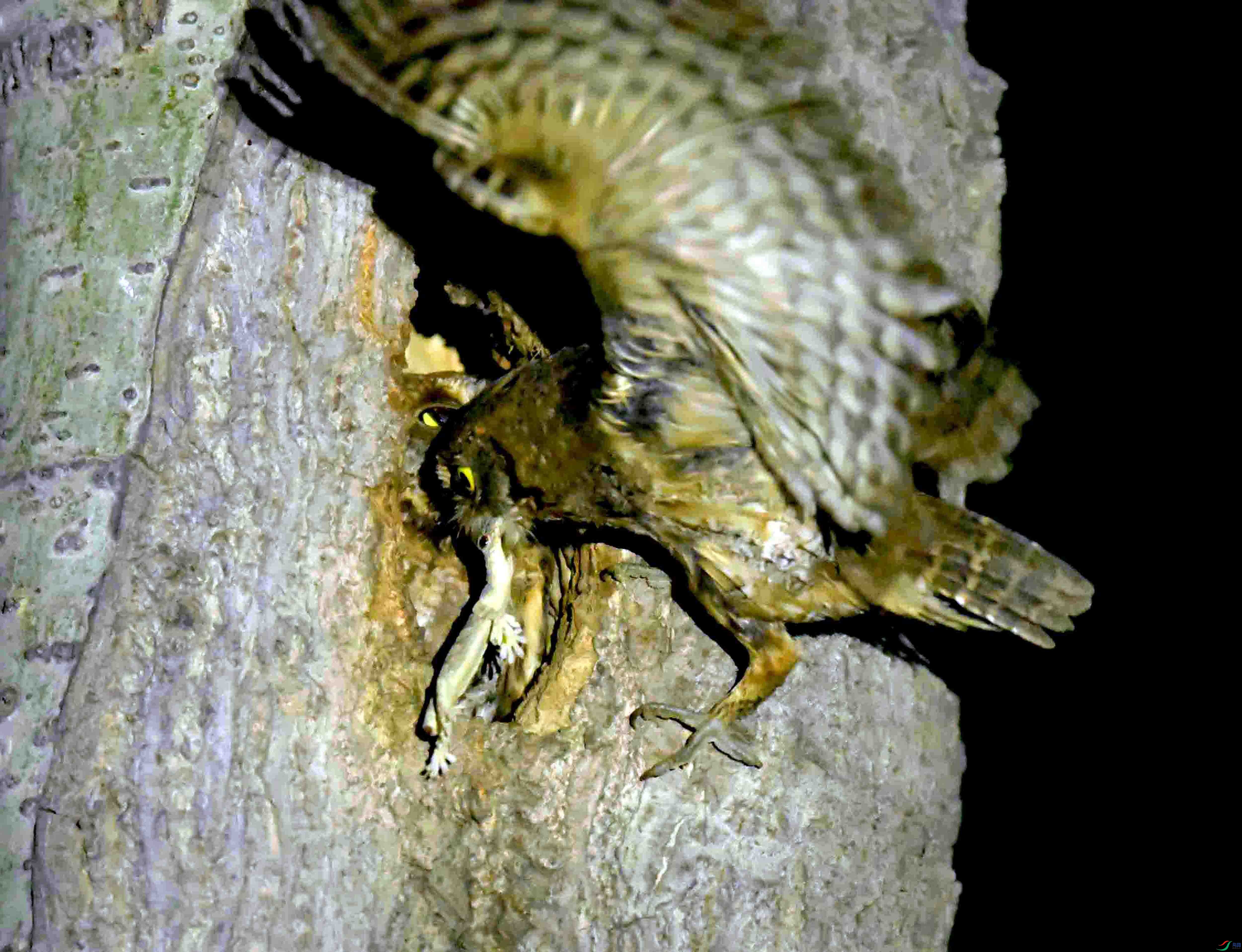 DSC_1143.JPG