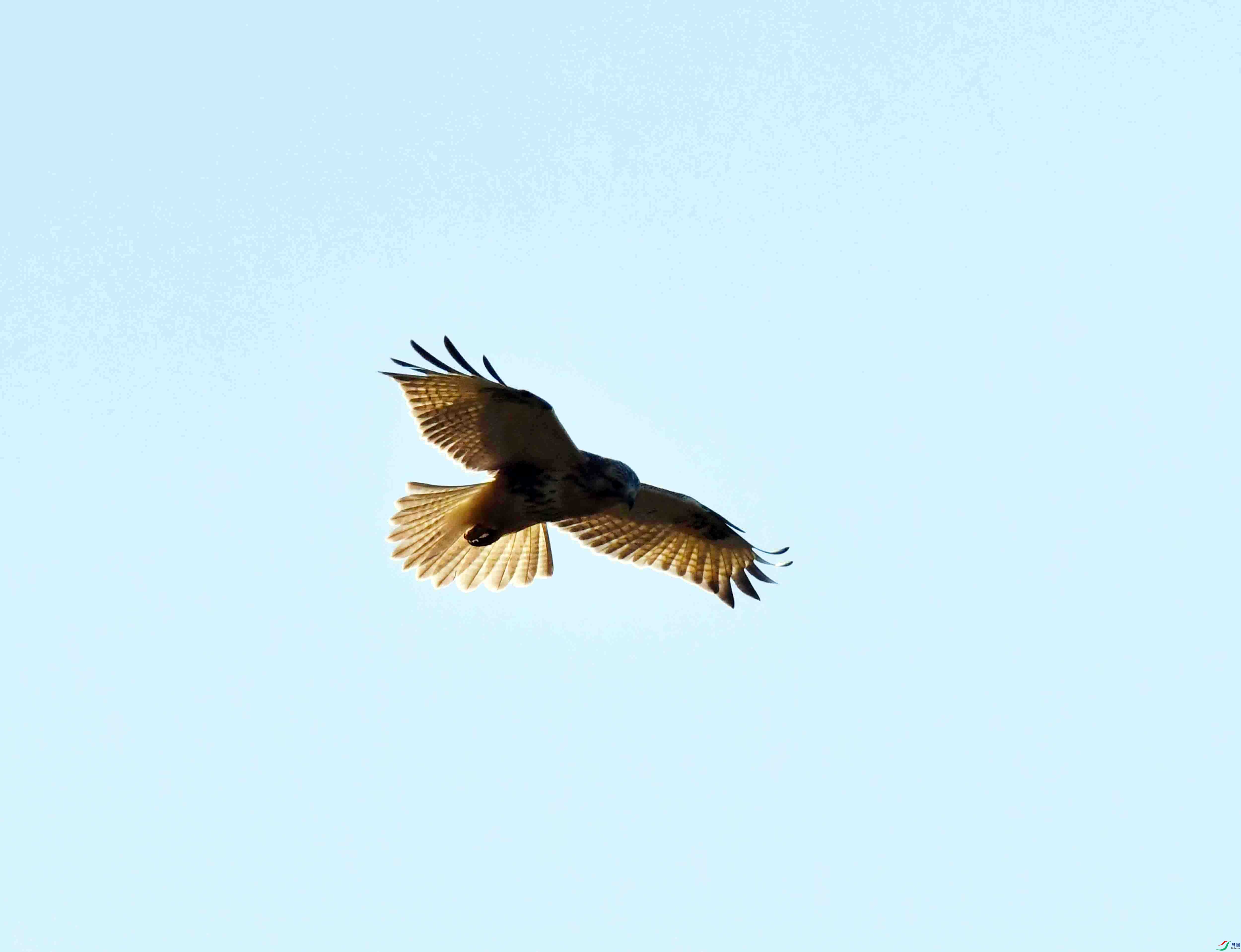 DSC_0152.JPG