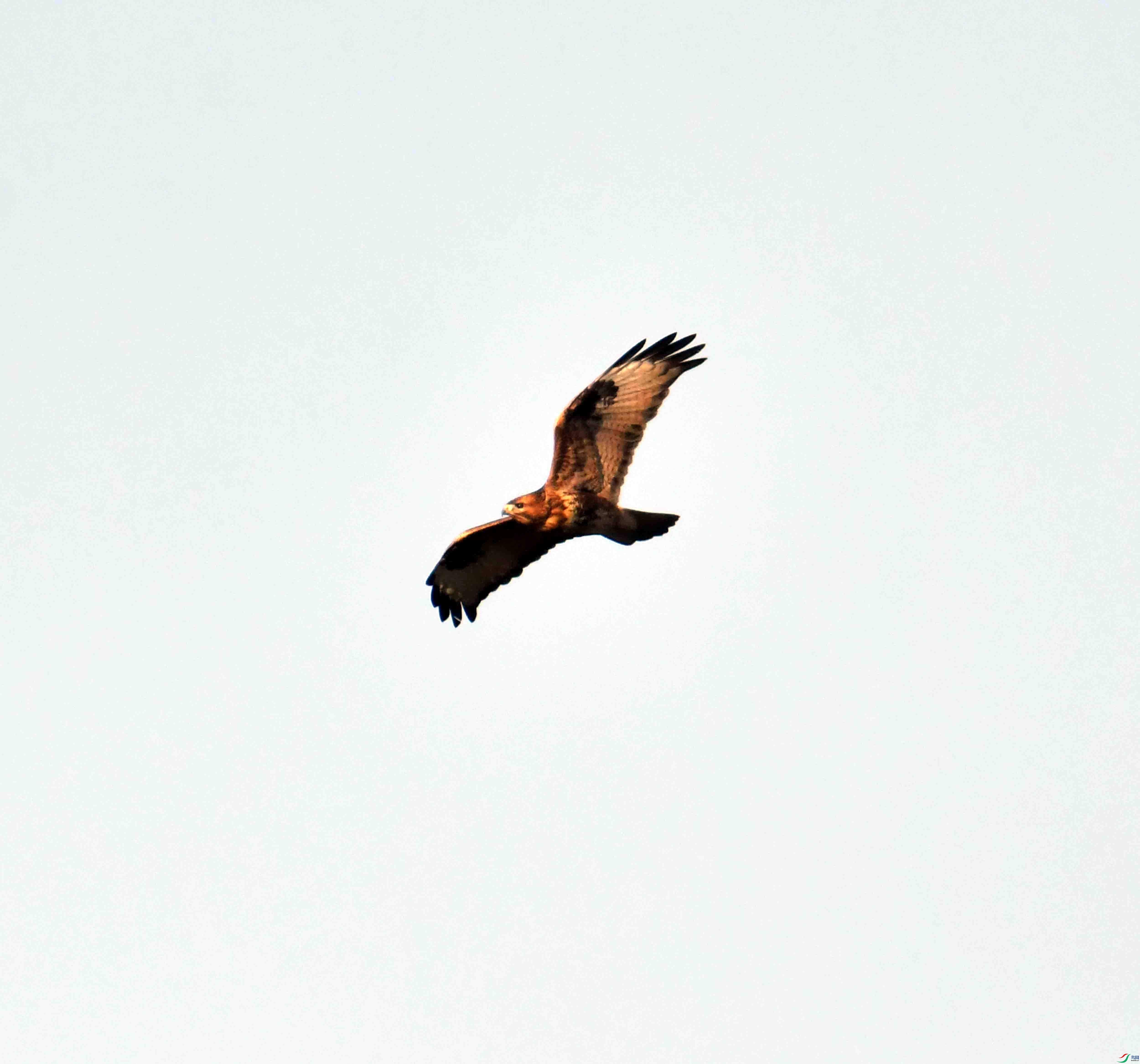 DSC_0275.JPG