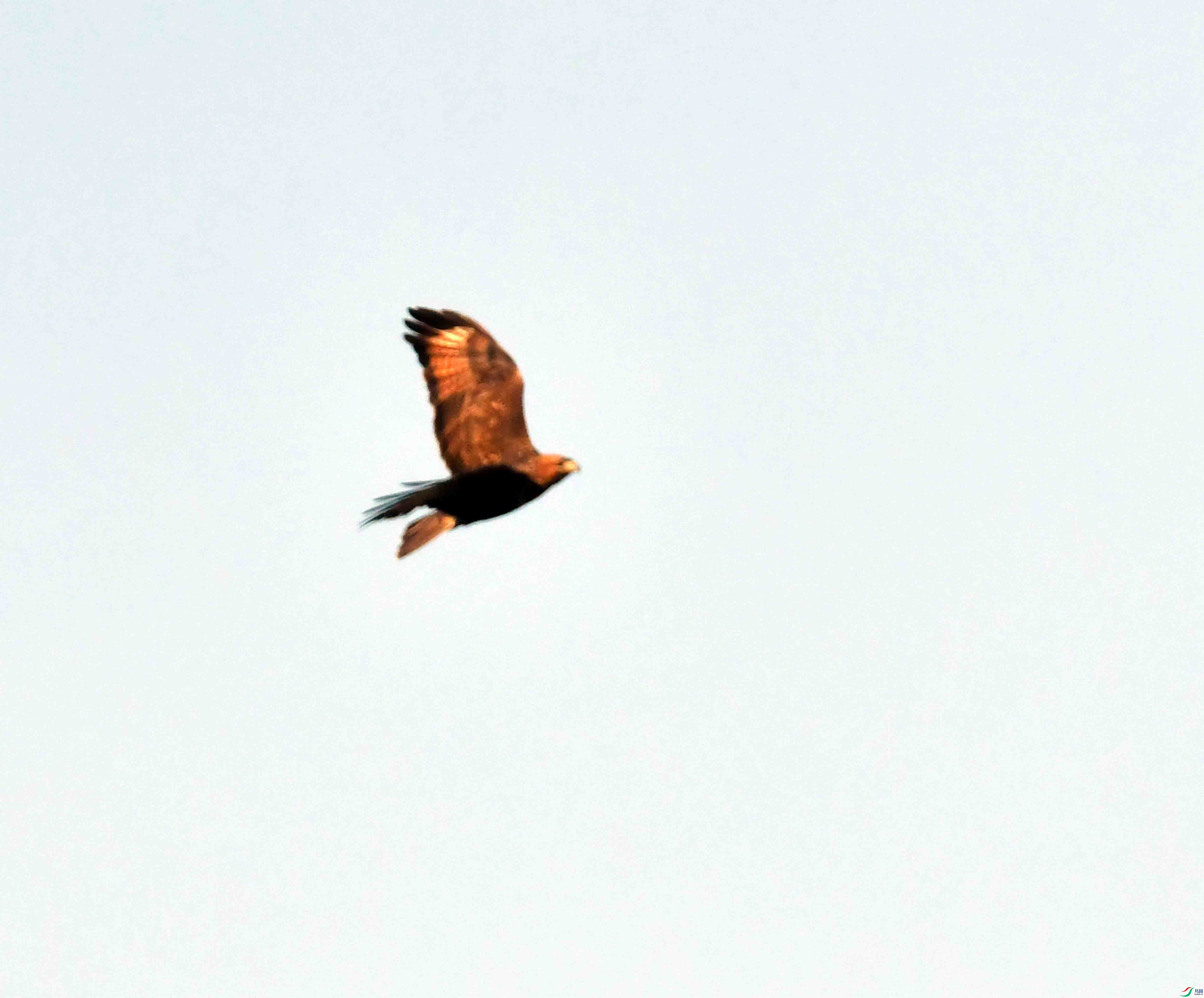 DSC_0277.JPG
