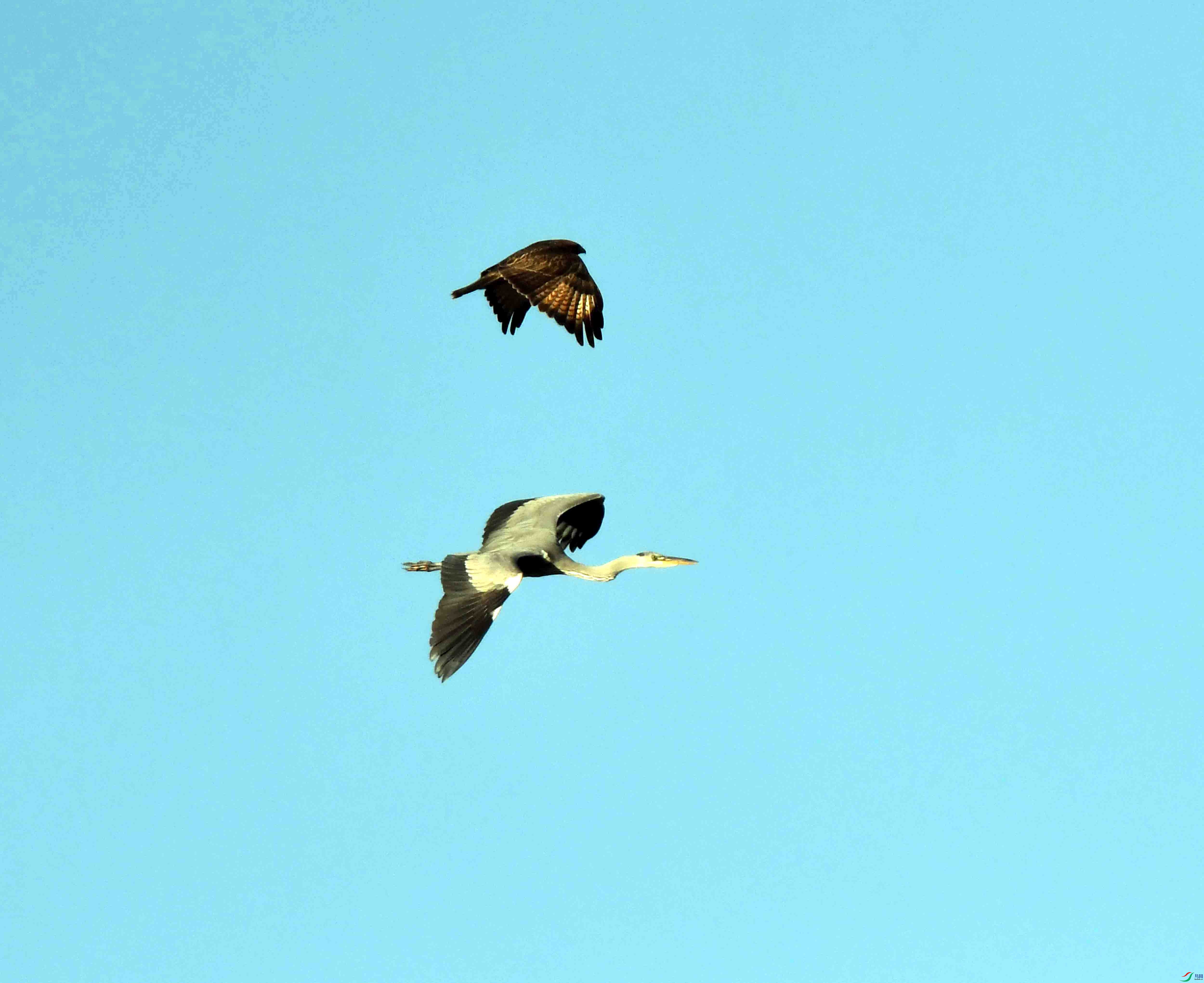 DSC_0290.JPG