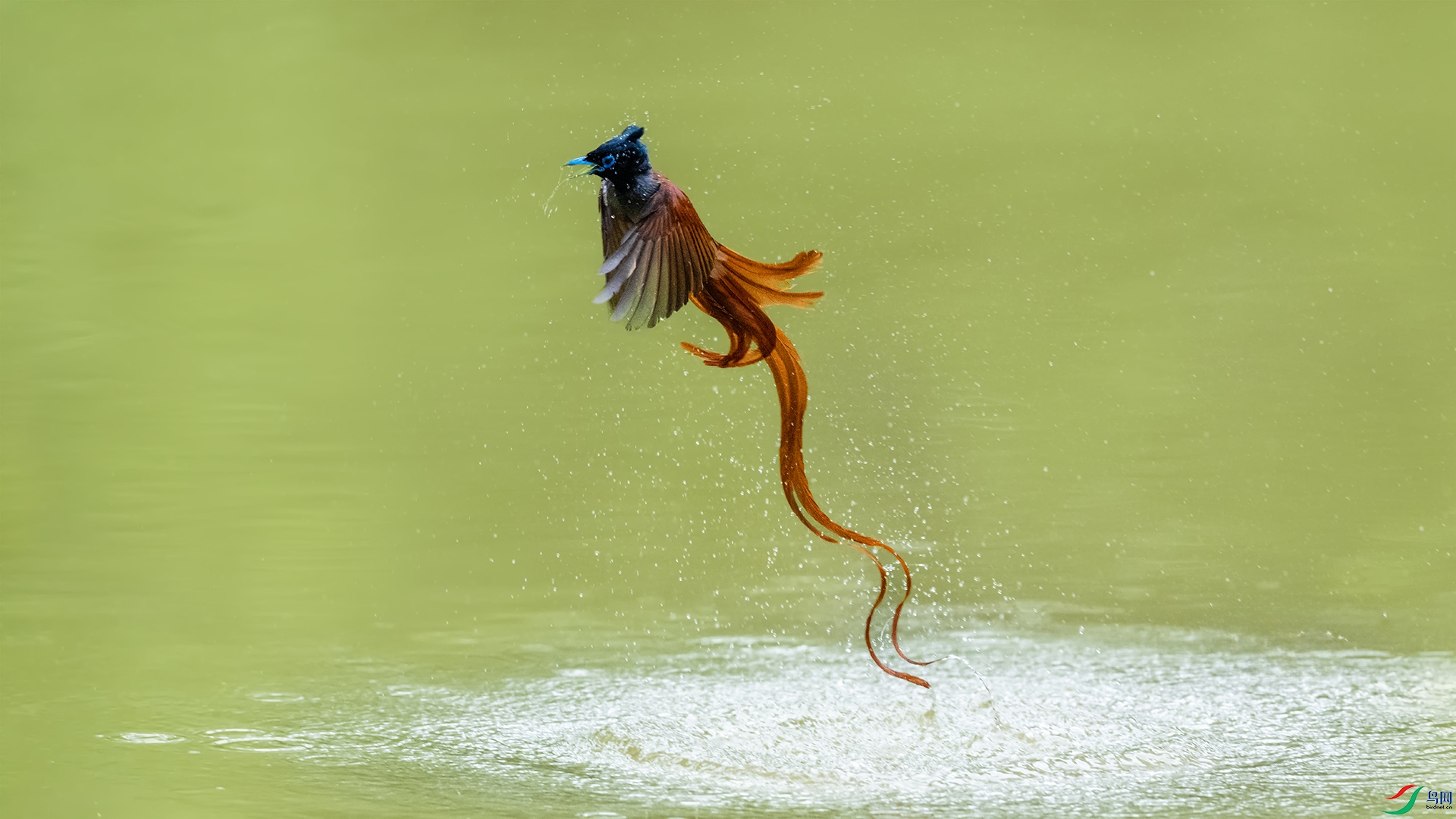 DSC_8015 ����.jpg