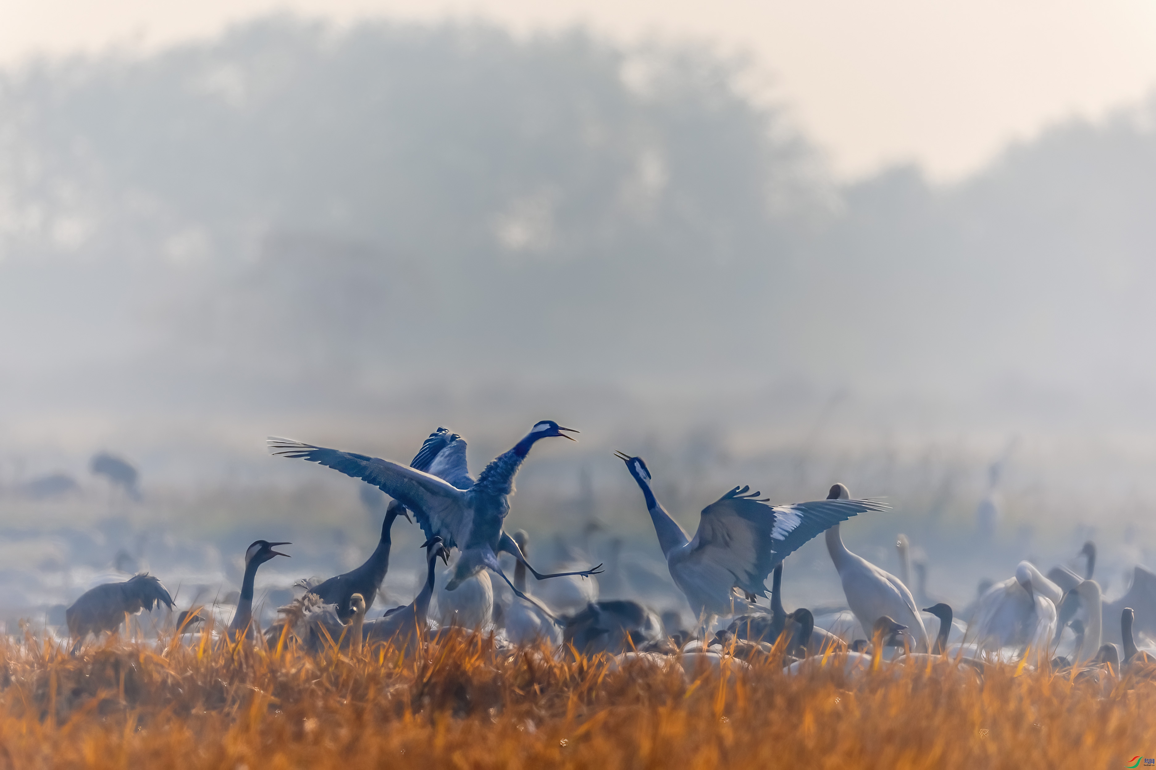 0M3A1381 ����.jpg