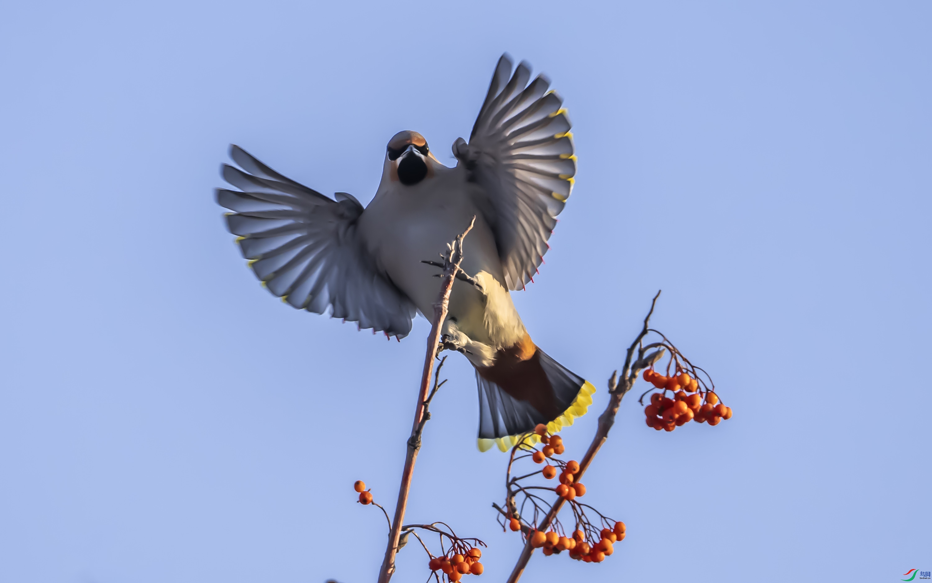 ̫ƽ��