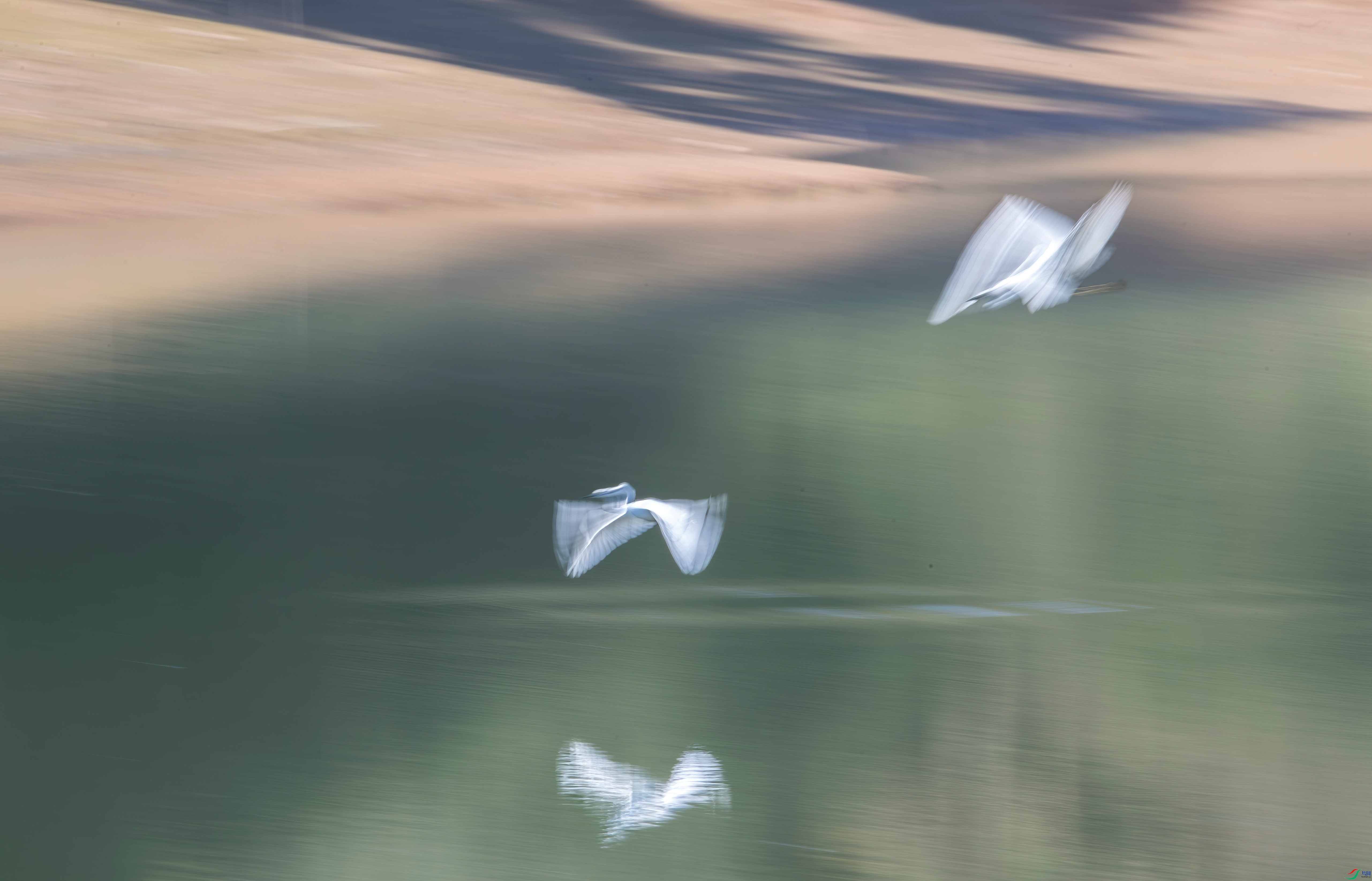 DSC_8245.jpg