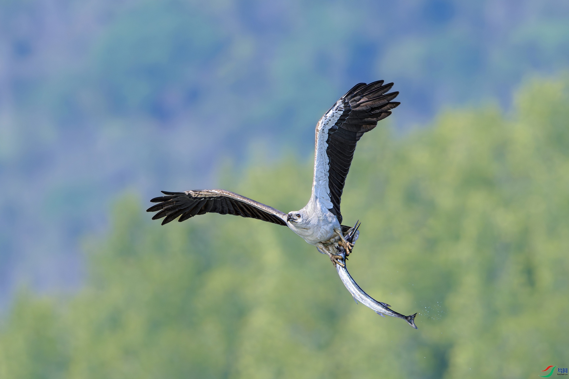 DSC_1457.jpg