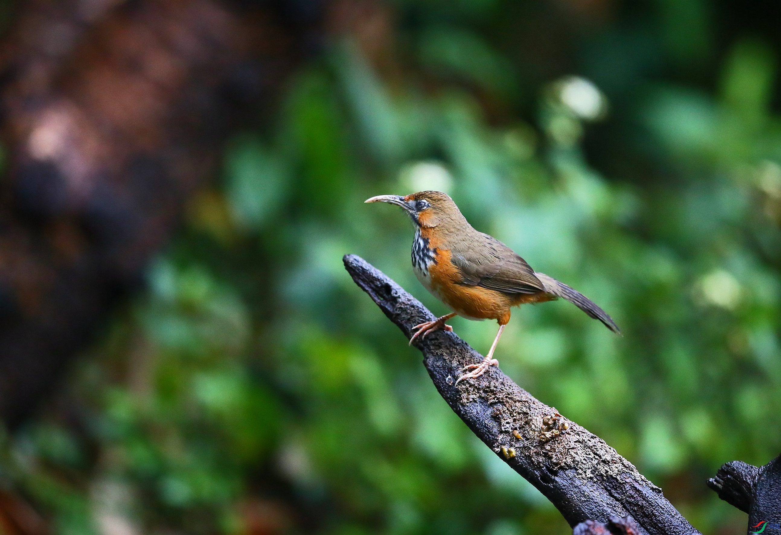 ���ع����� (9).JPG