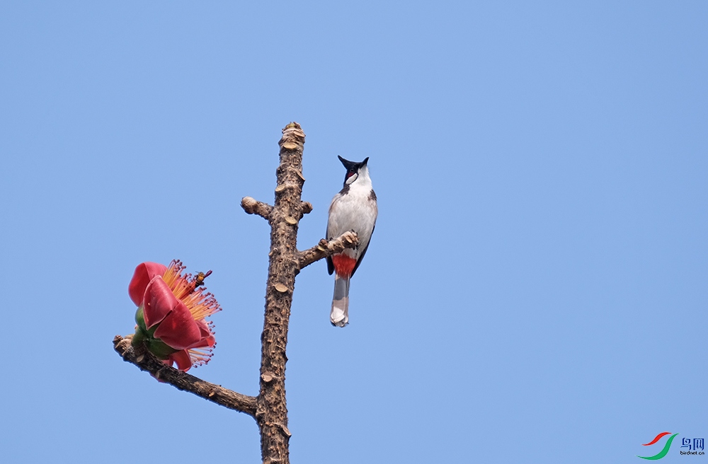 DSCF7310.1.jpg