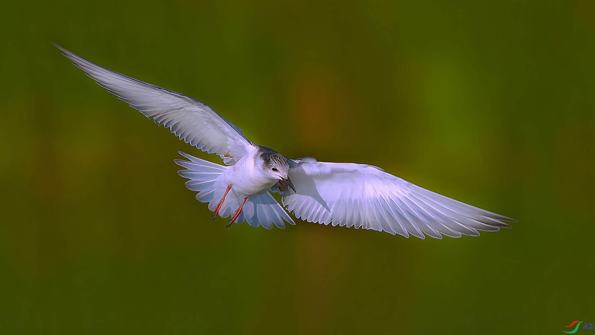 _DSC4565==1w.jpg