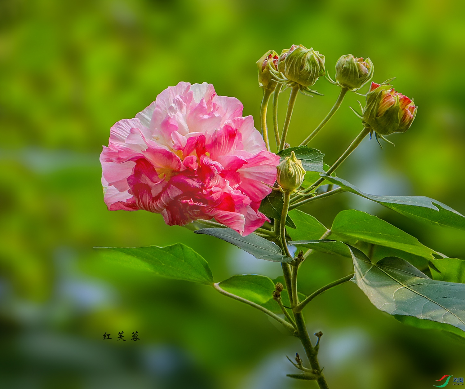 0000583A0003 ��ܽ��1000ka0.jpg