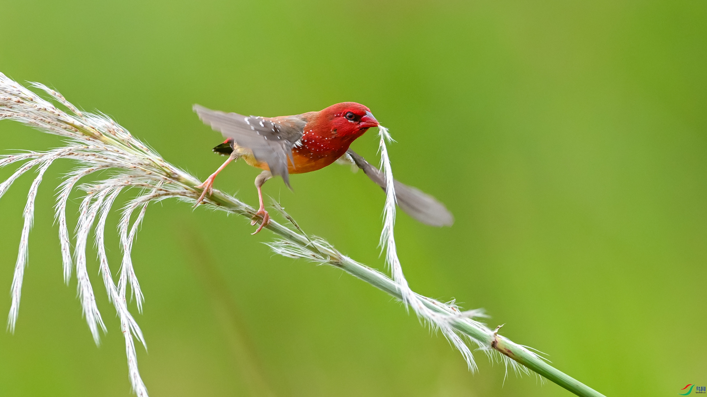 1794 ����.jpg