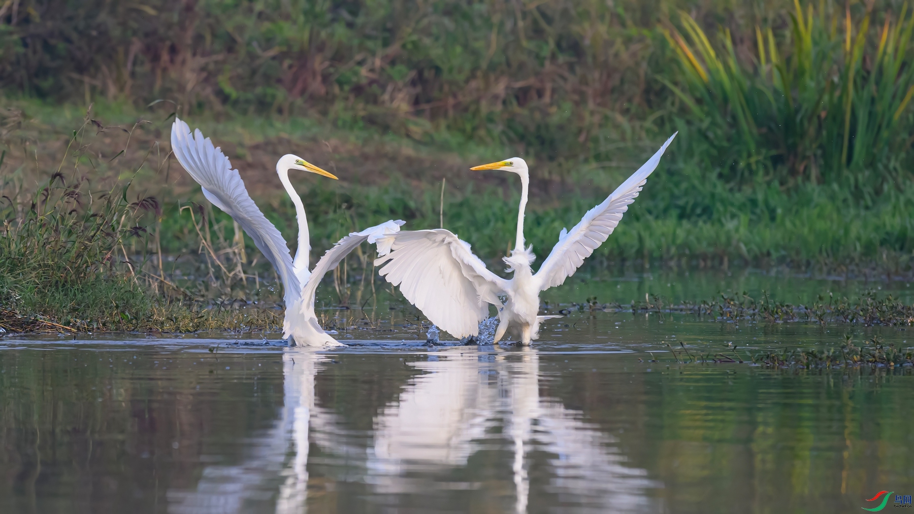 _DSC8144 ����-DeNoiseAI-standard (1).jpg