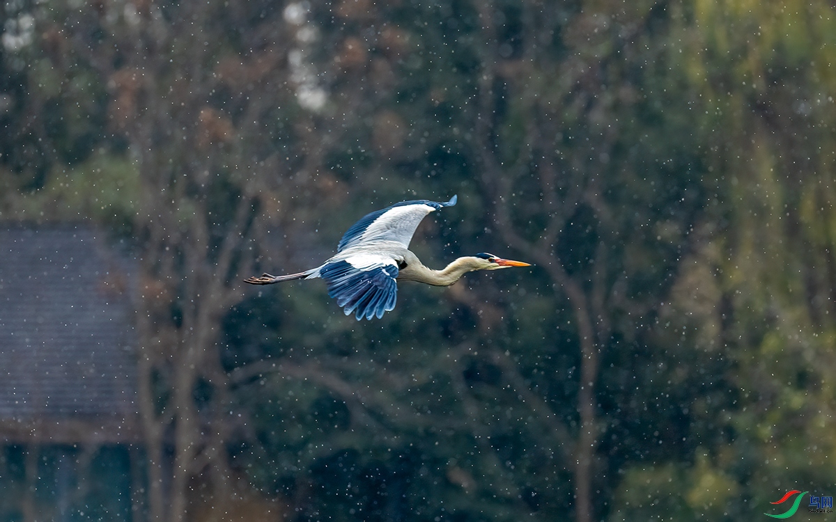 2021_490����.jpg