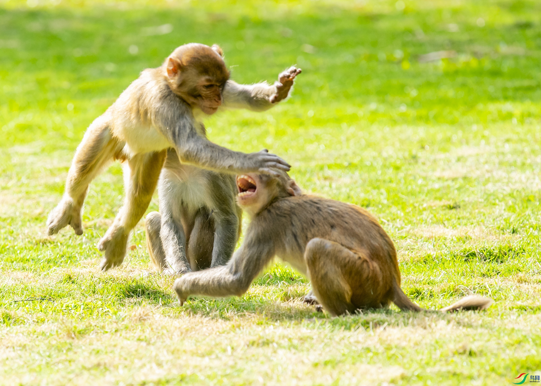 5023 ����.jpg