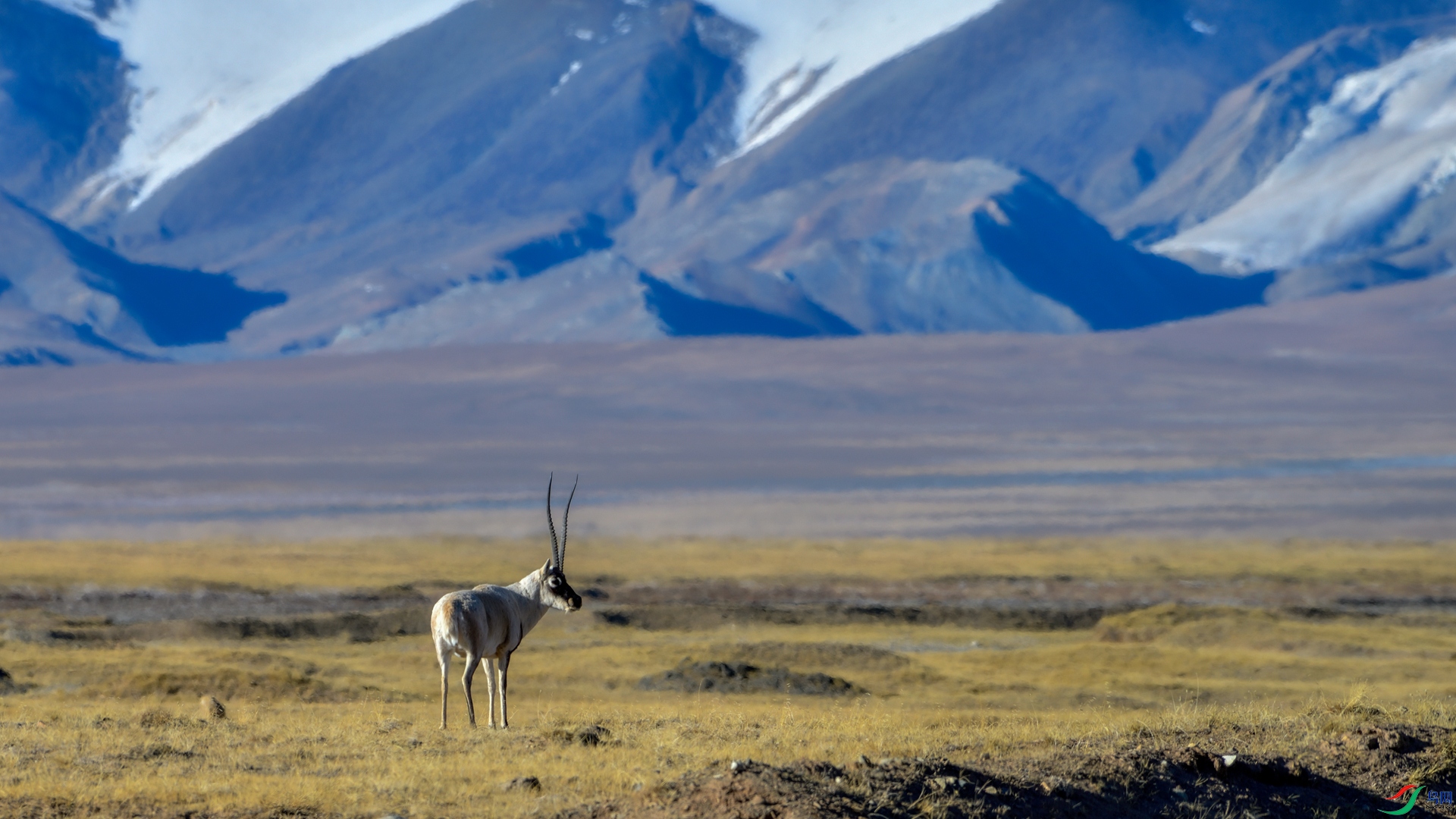 _DSC2644_����.jpg