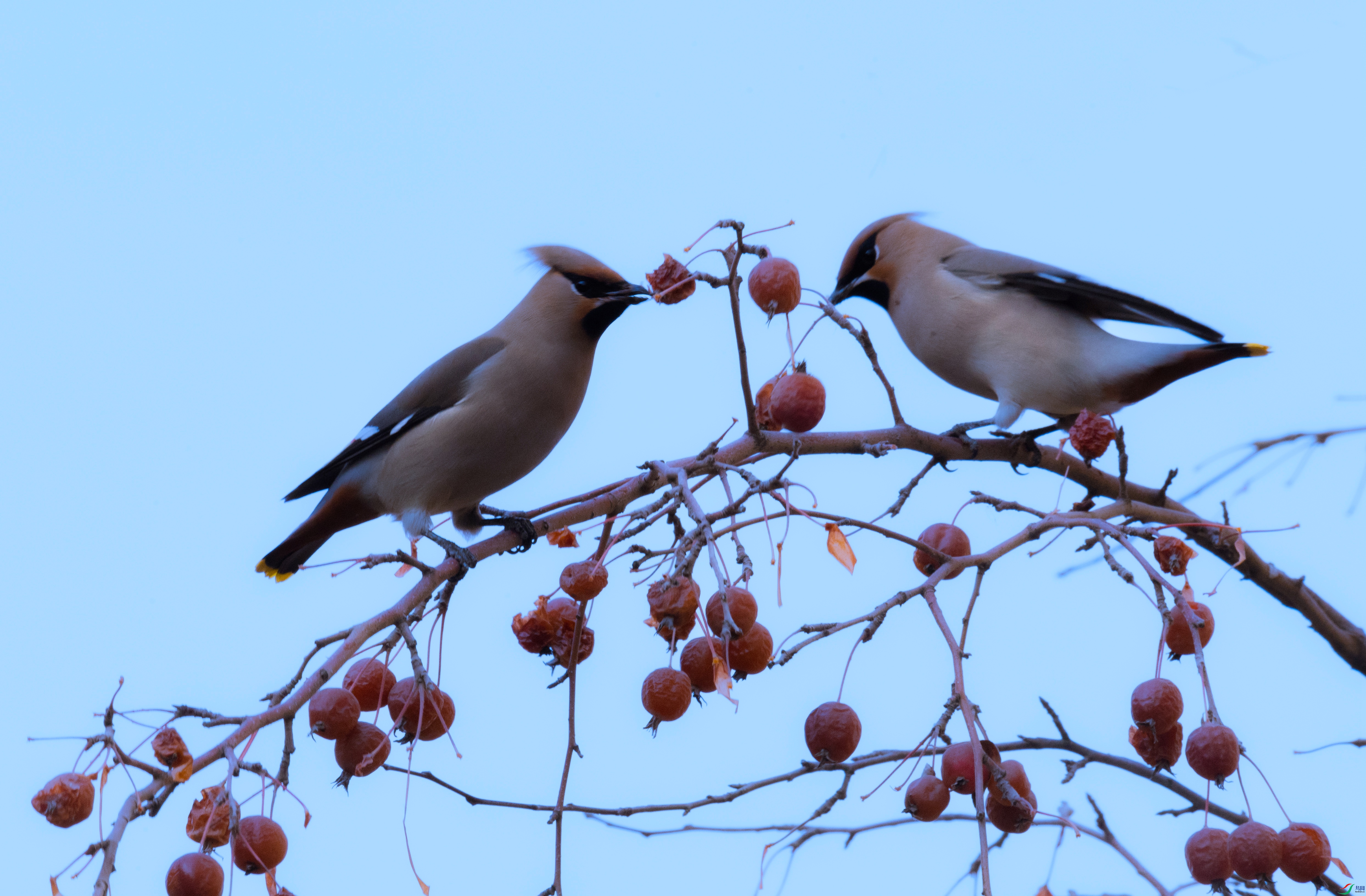 _X5A6022 - ����.jpg