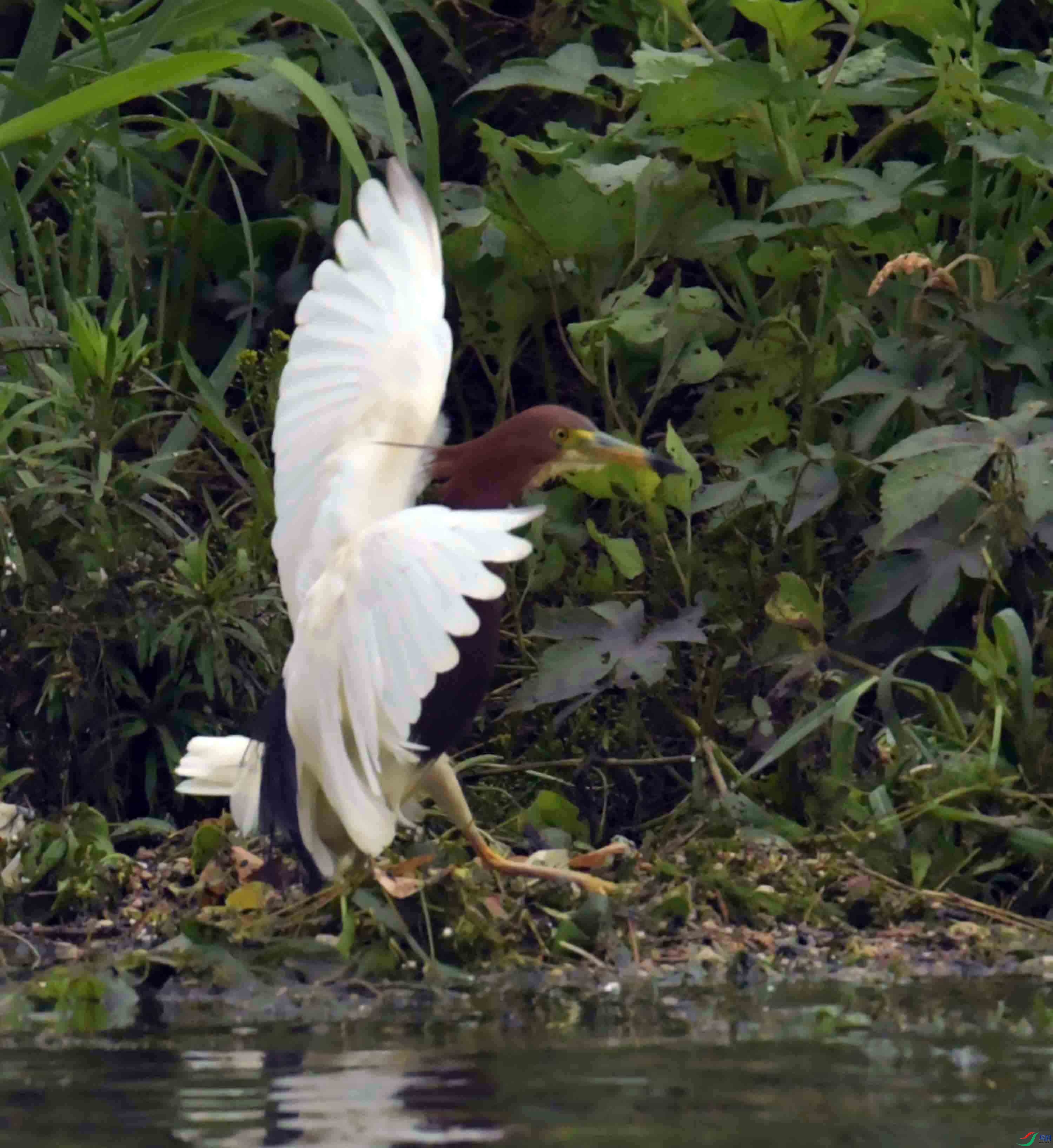 DSC_1777.JPG