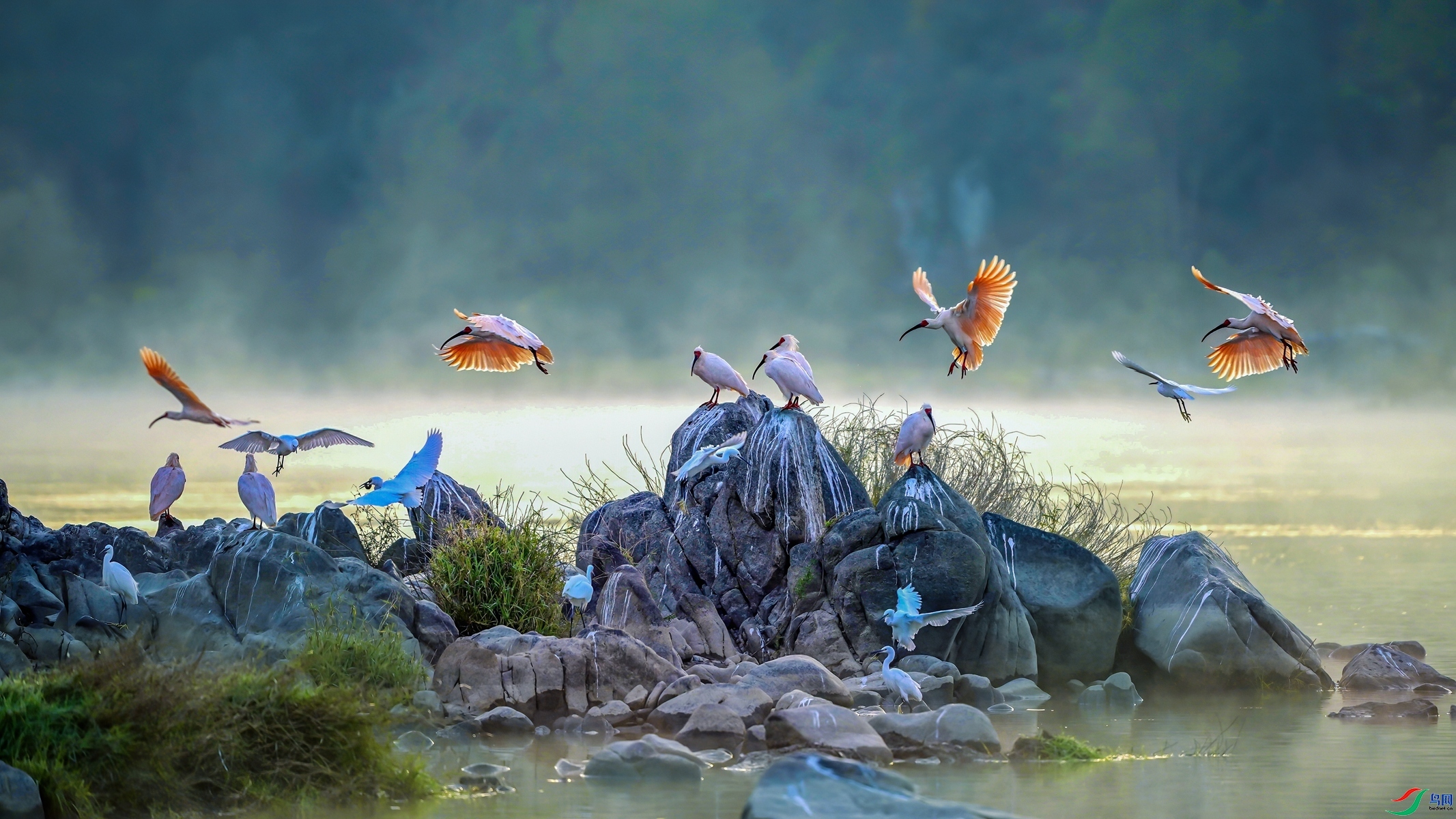 �Ҽ�ס�ں�����  ���� СС�ո� ����.jpg