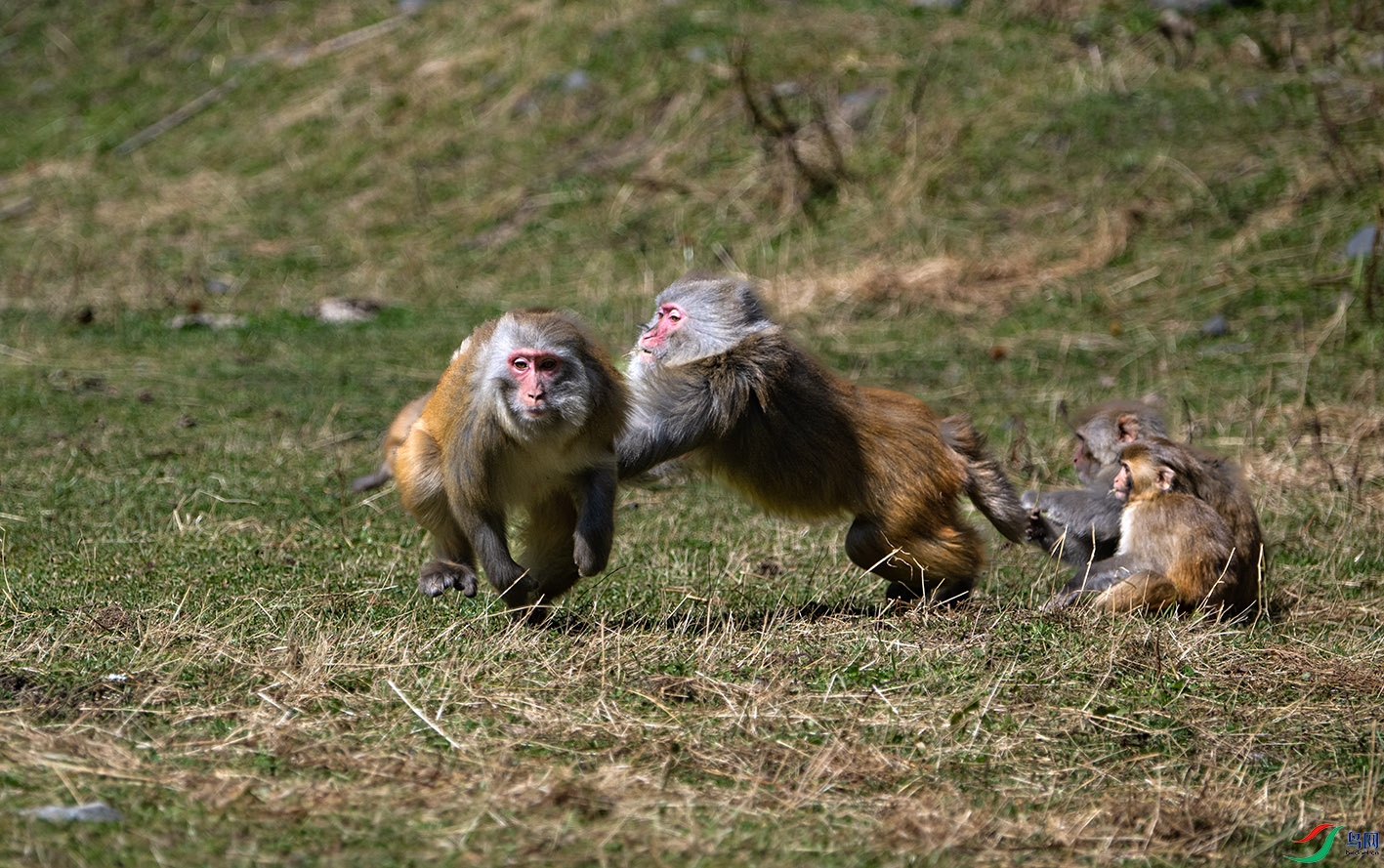 _DSC9018.jpg