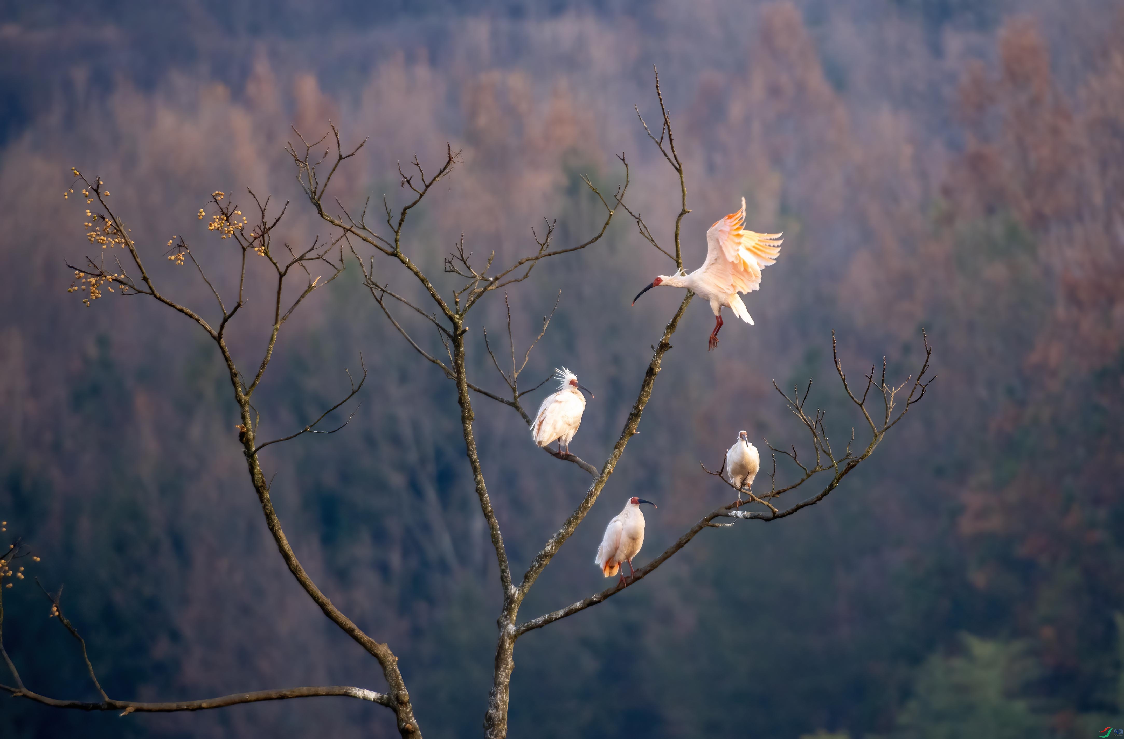 DSC_0630 ����.jpg